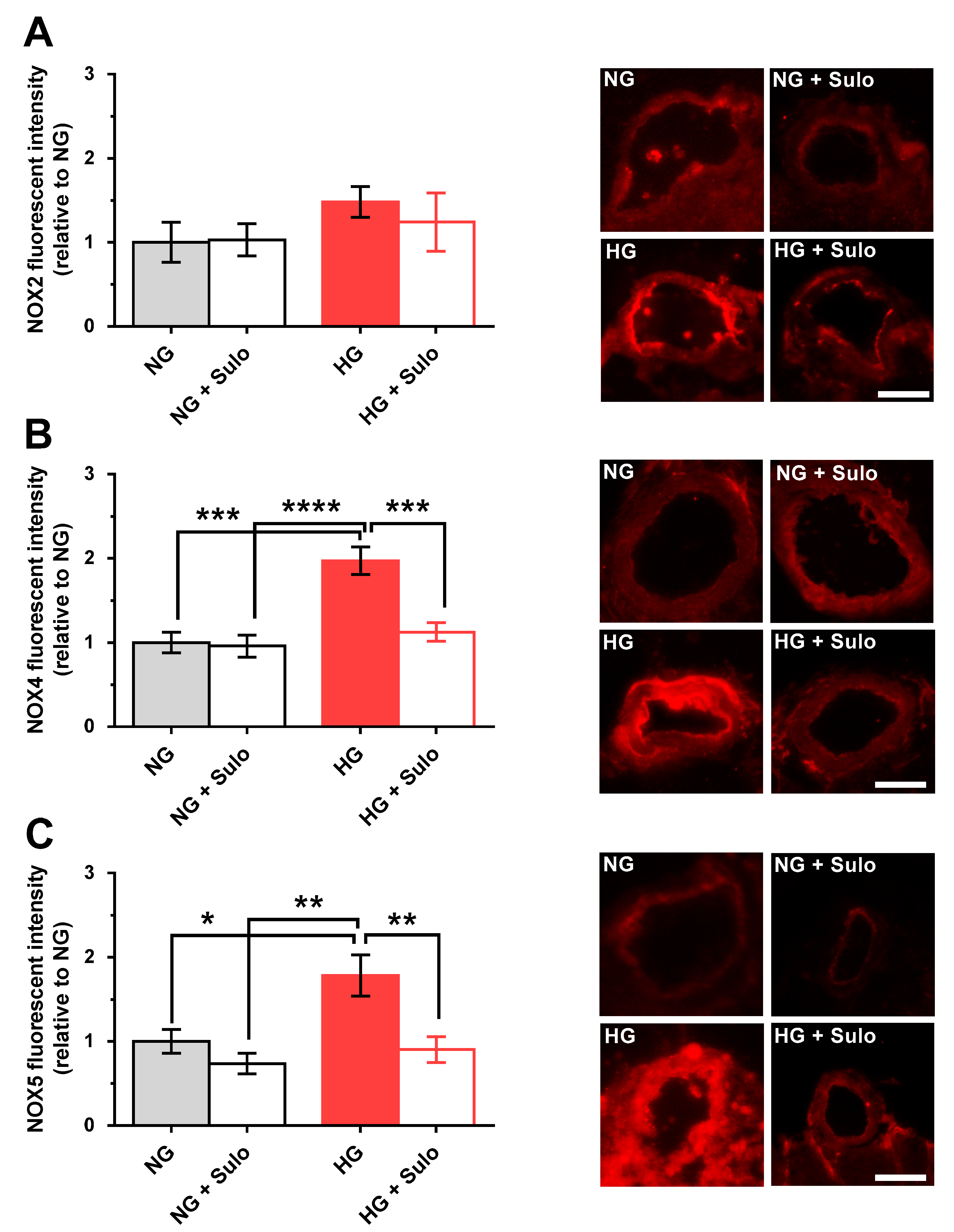 Antioxidants 12 00388 g006 Antioxidants 12 00388 g006