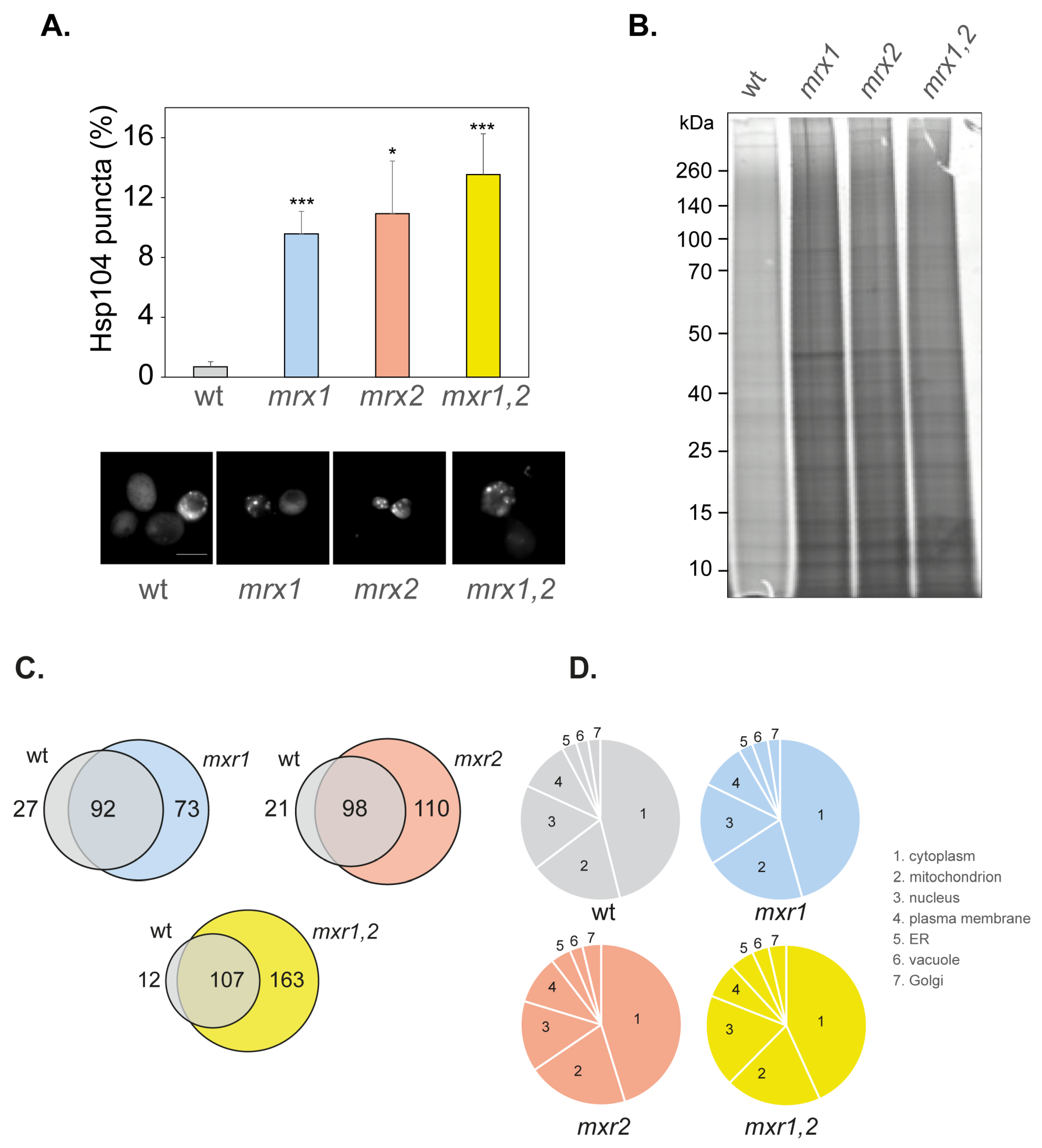 Antioxidants 12 00401 g003
