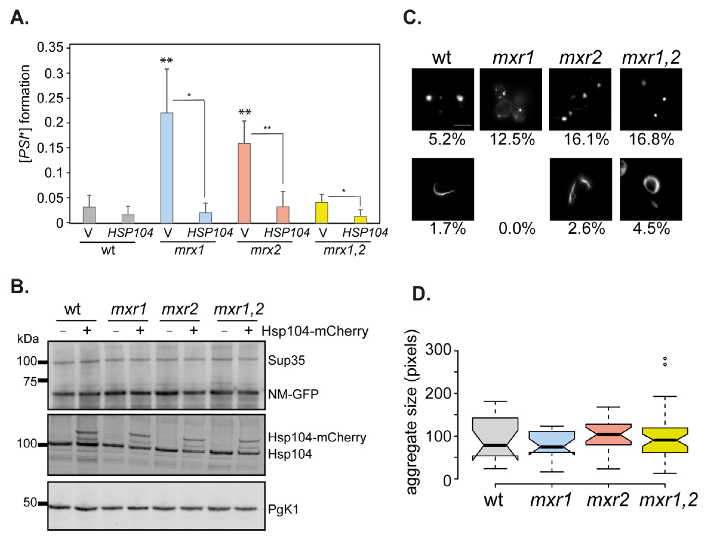 Antioxidants 12 00401 g006