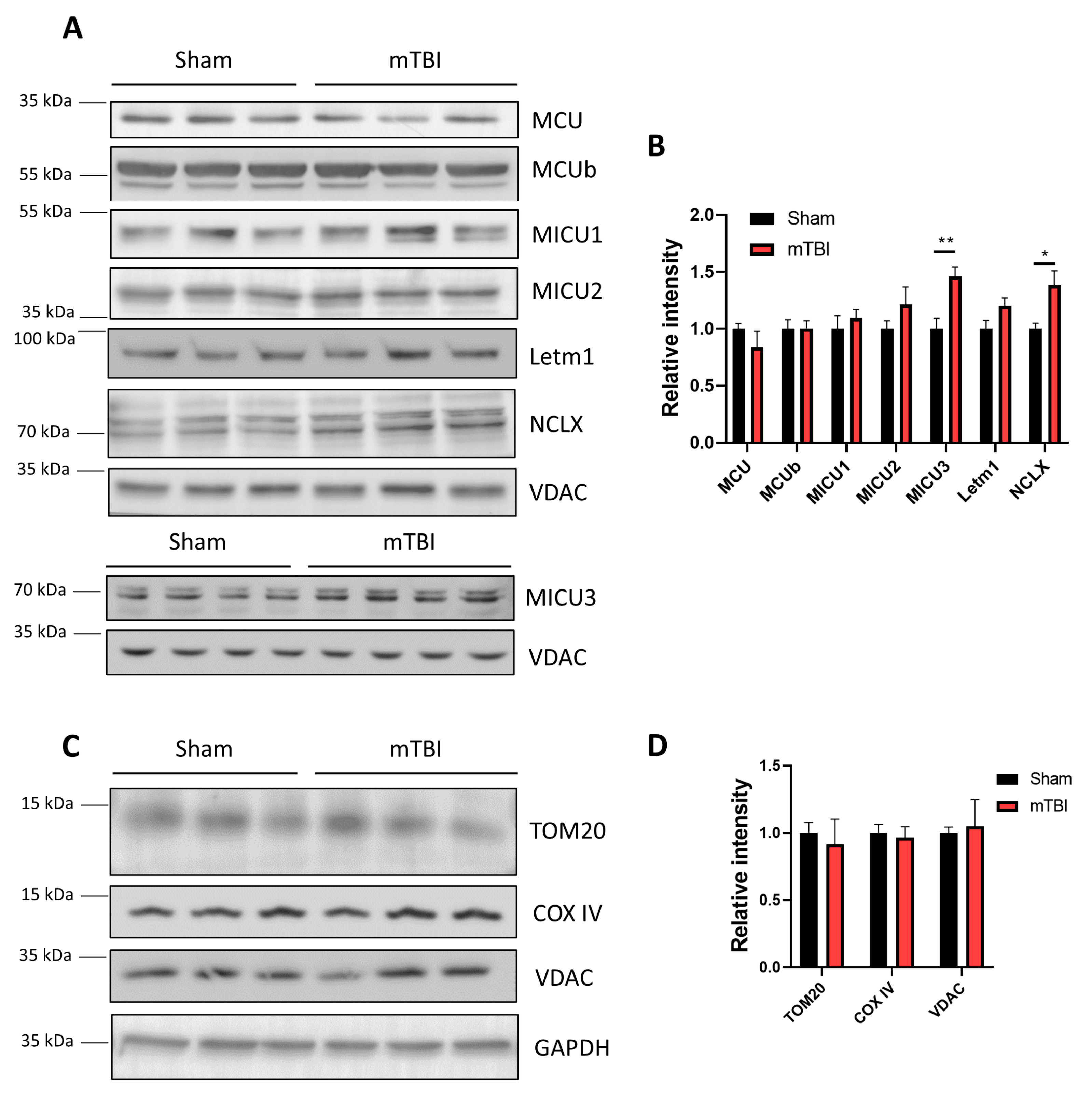 Antioxidants 12 00403 g004