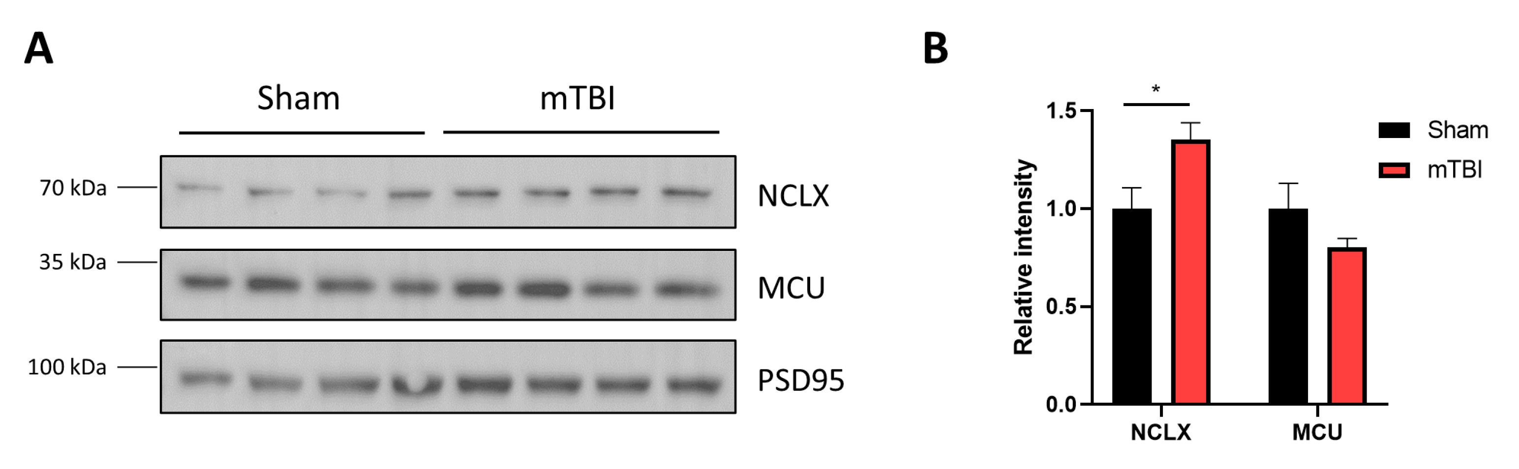Antioxidants 12 00403 g006