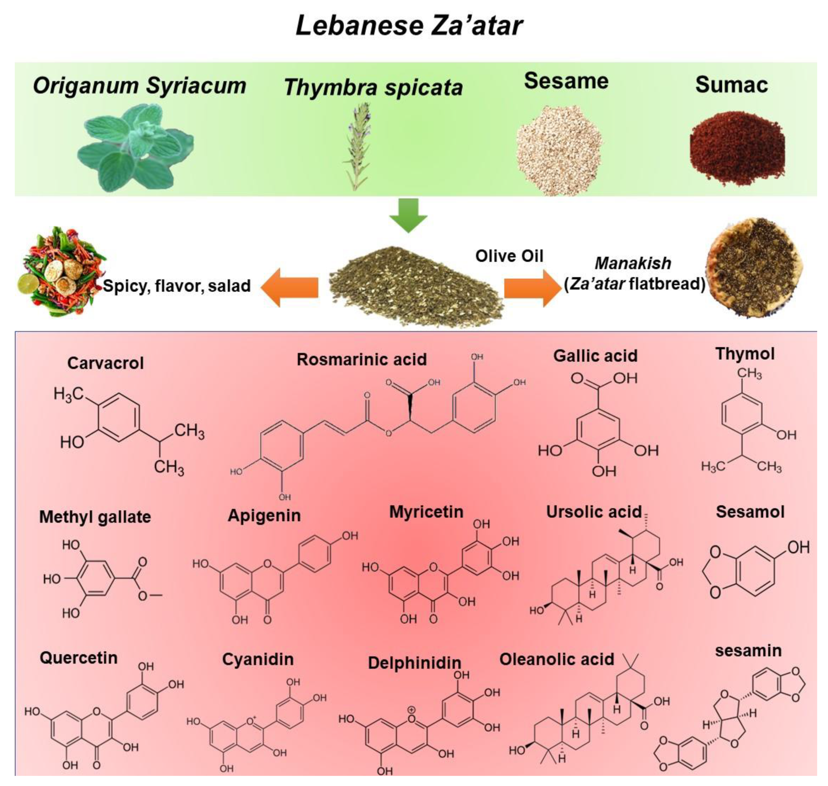 Antioxidants | Free Full-Text | The Impact of Za’atar 