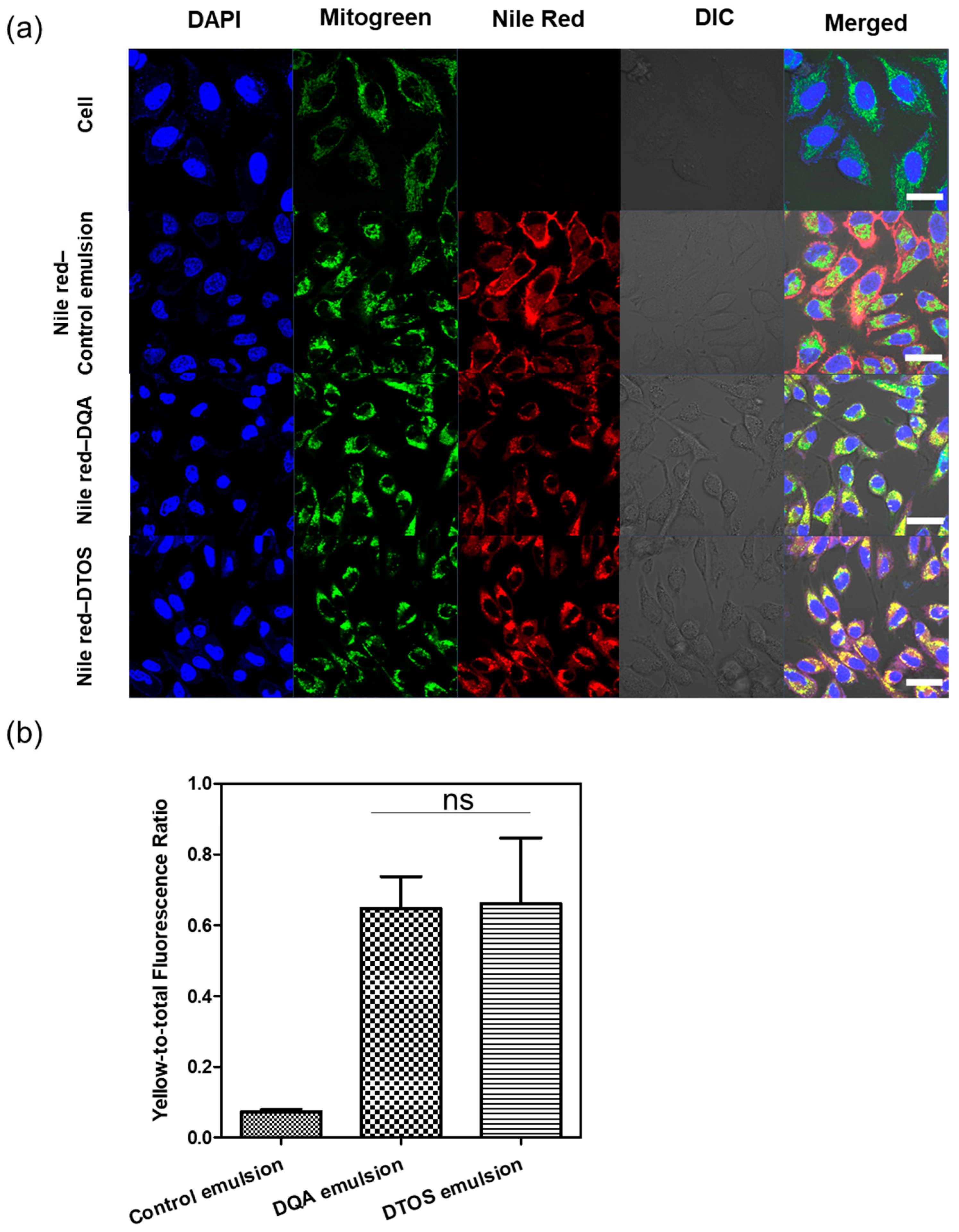 Antioxidants 12 00437 g006