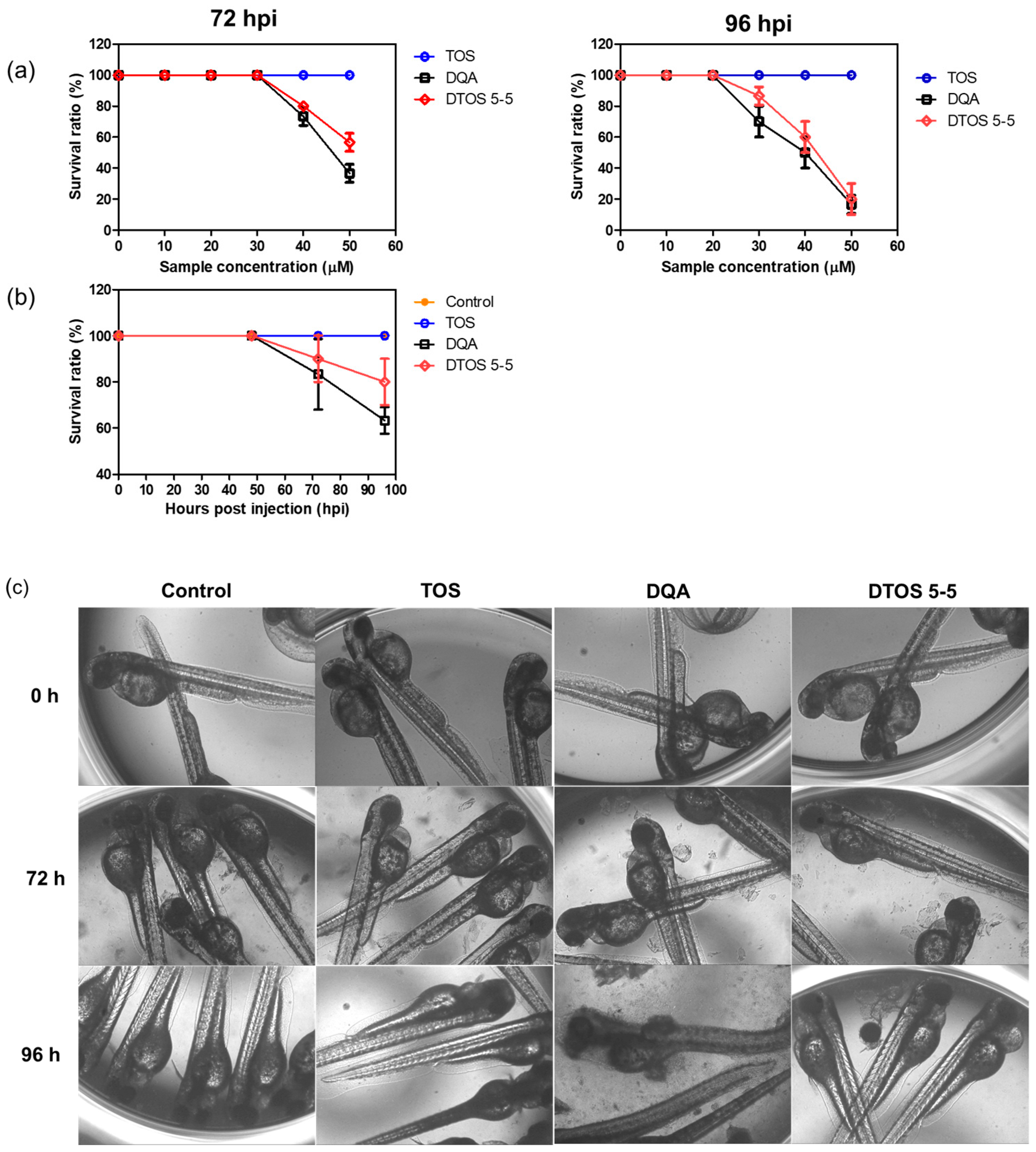 Antioxidants 12 00437 g010