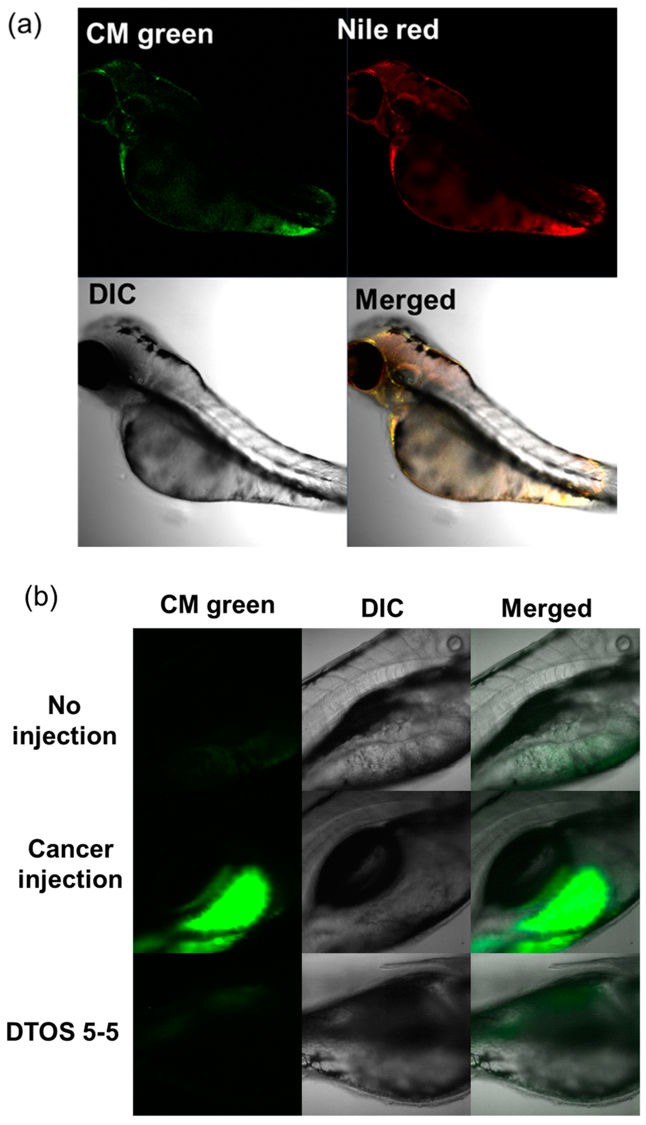 Antioxidants 12 00437 g011a