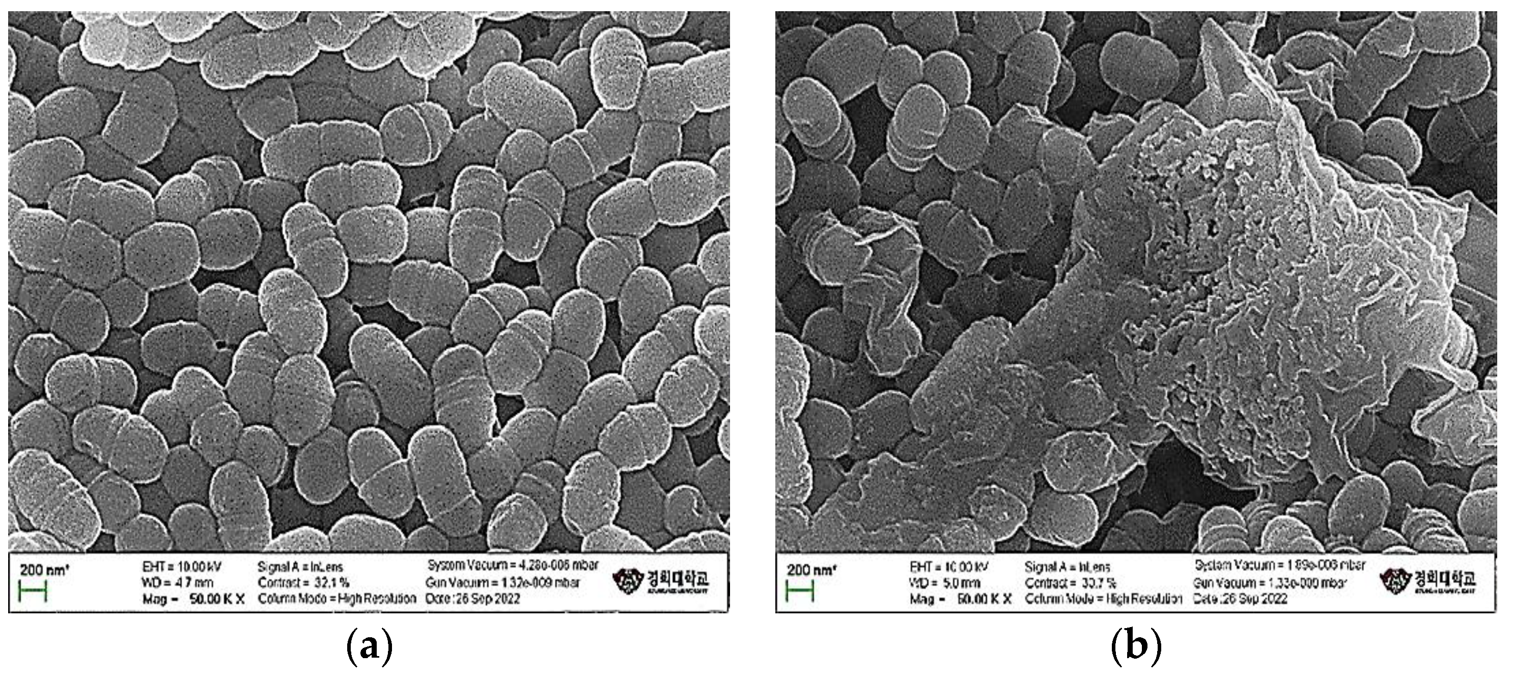 Antioxidants 12 00471 g002