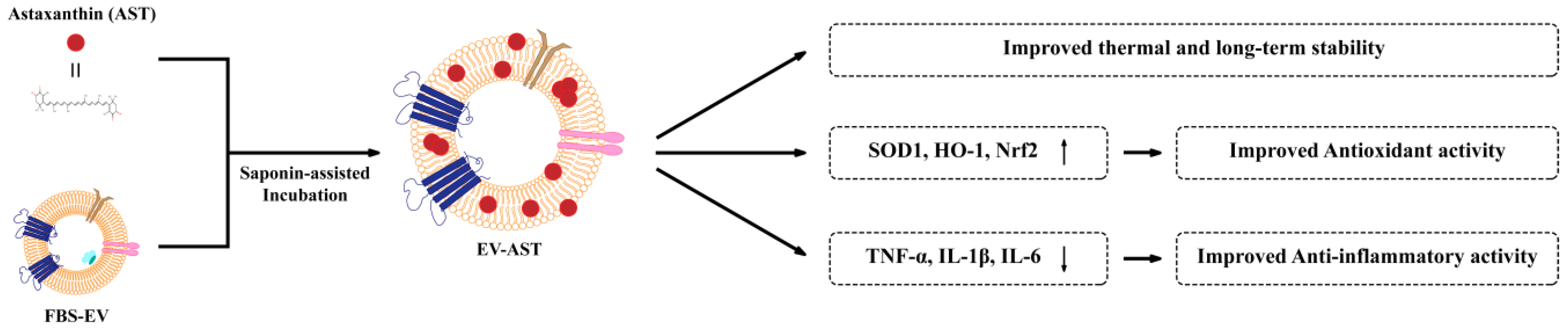 Antioxidants 12 00473 sch001