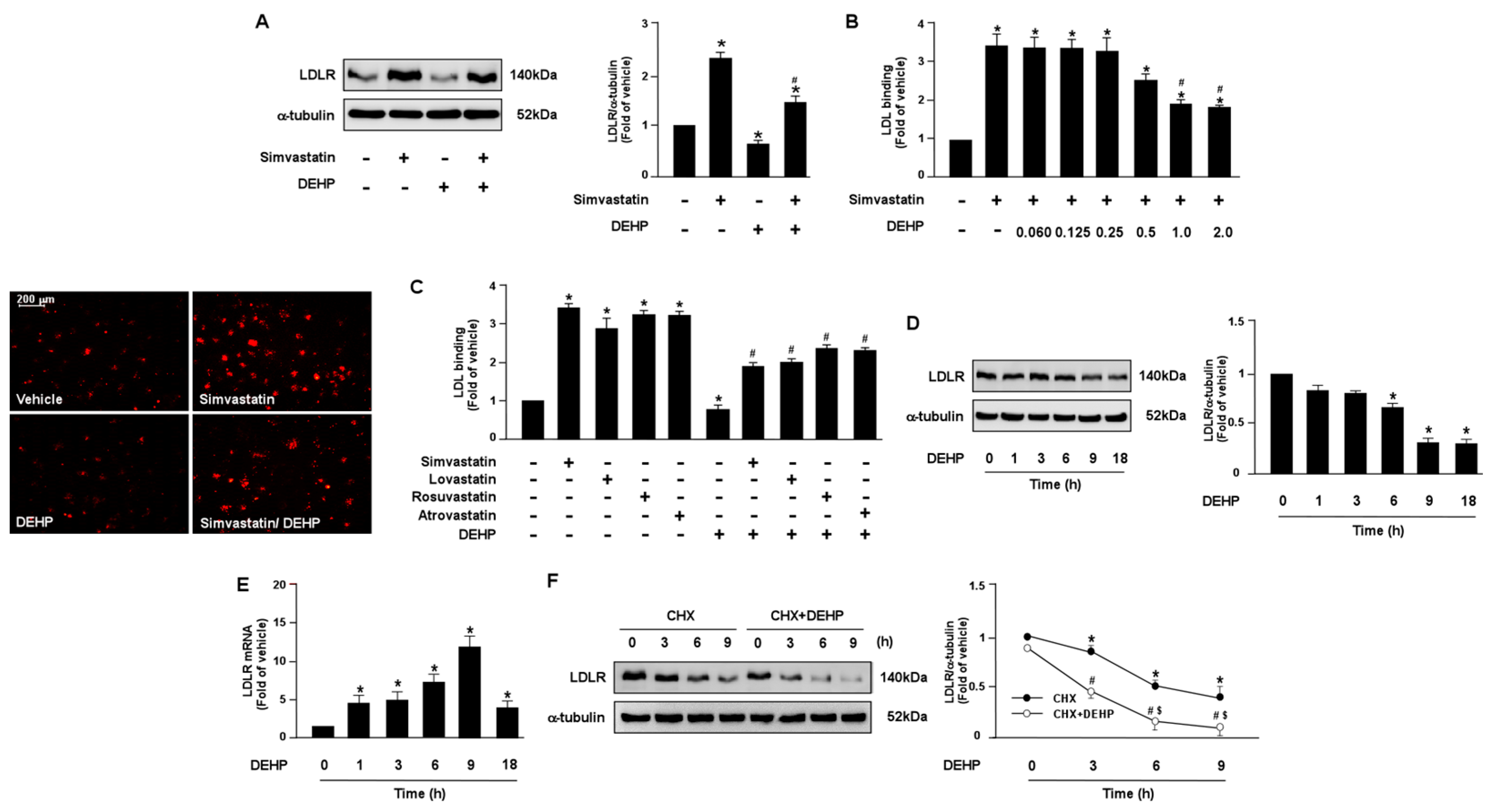 Antioxidants 12 00477 g001