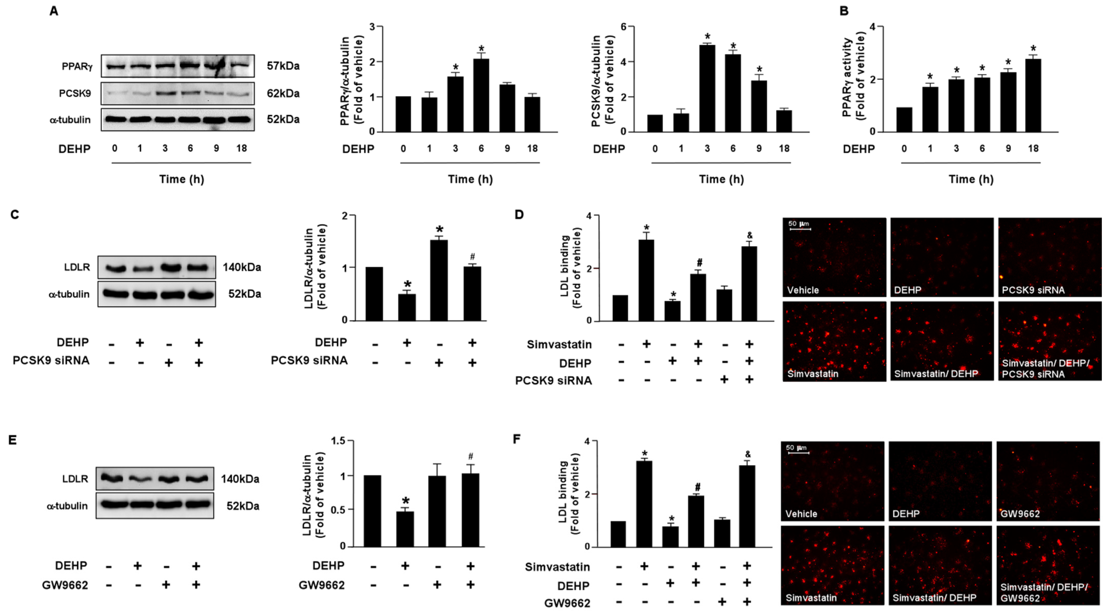 Antioxidants 12 00477 g003