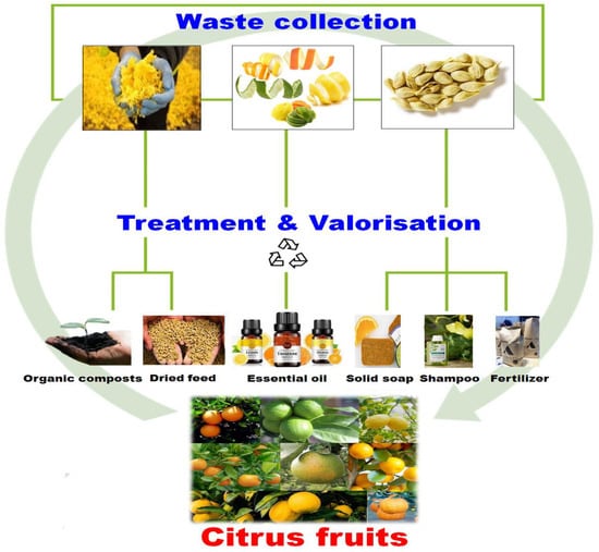 Dietary bioactives and essential oils of lemon and lime fruits -  ScienceDirect