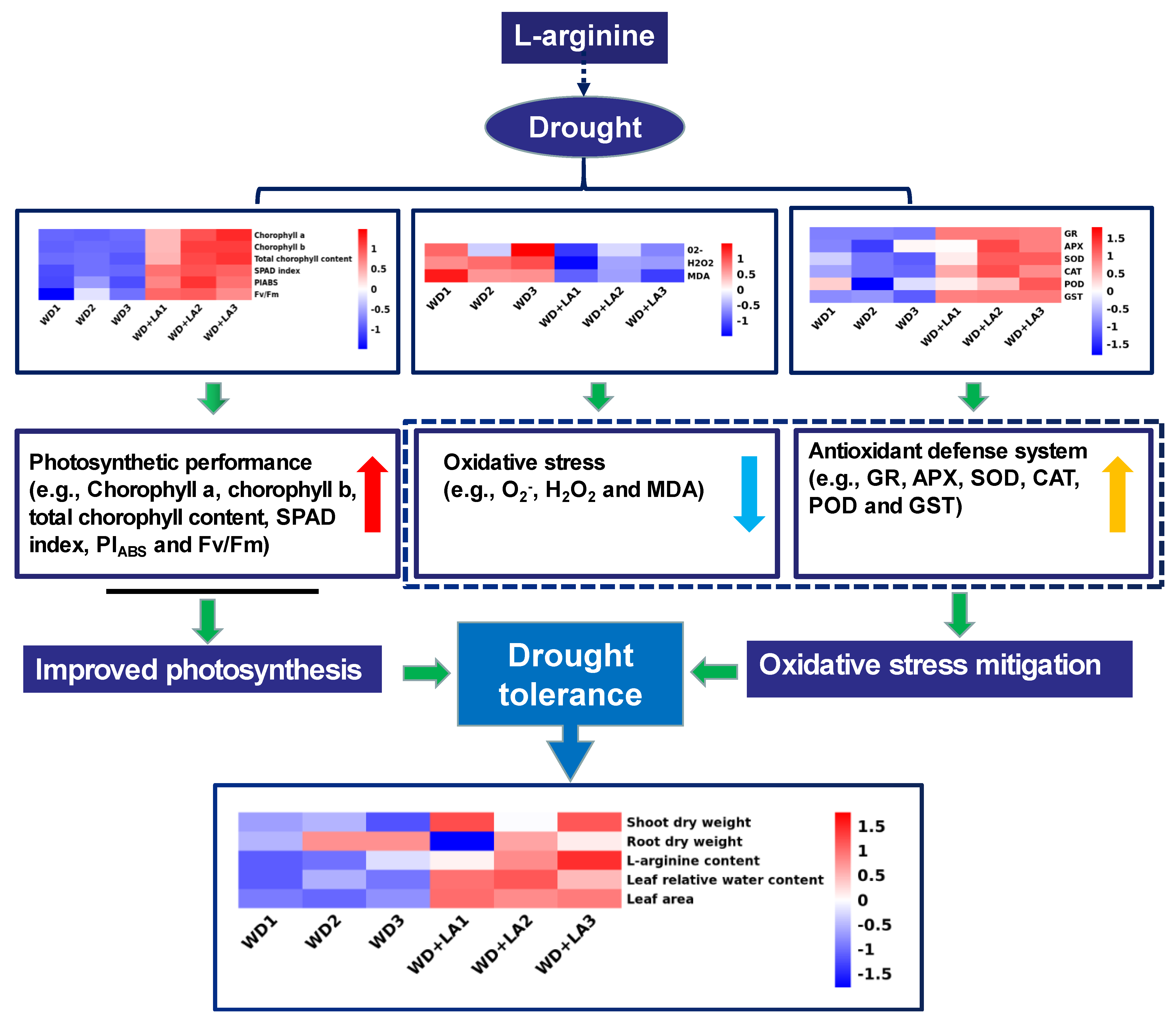 Antioxidants 12 00482 g008 Antioxidants 12 00482 g008