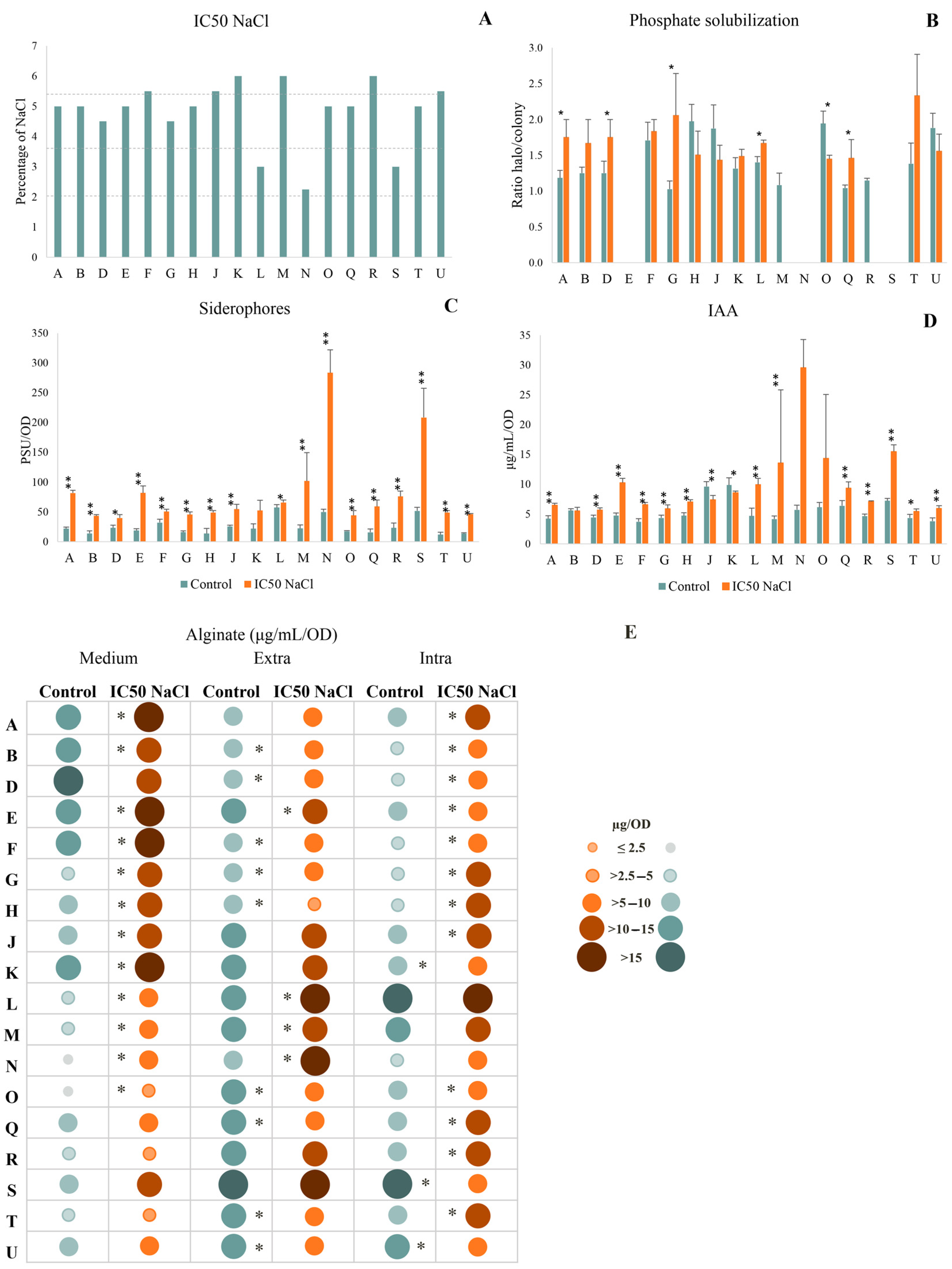 Frontiers  Oxidative stress protection and growth promotion activity of  Pseudomonas mercuritolerans sp. nov., in forage plants under mercury  abiotic stress conditions