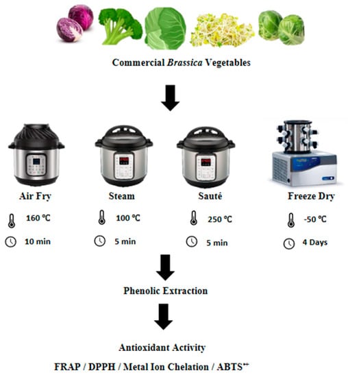 https://www.mdpi.com/antioxidants/antioxidants-12-00490/article_deploy/html/images/antioxidants-12-00490-g001-550.jpg