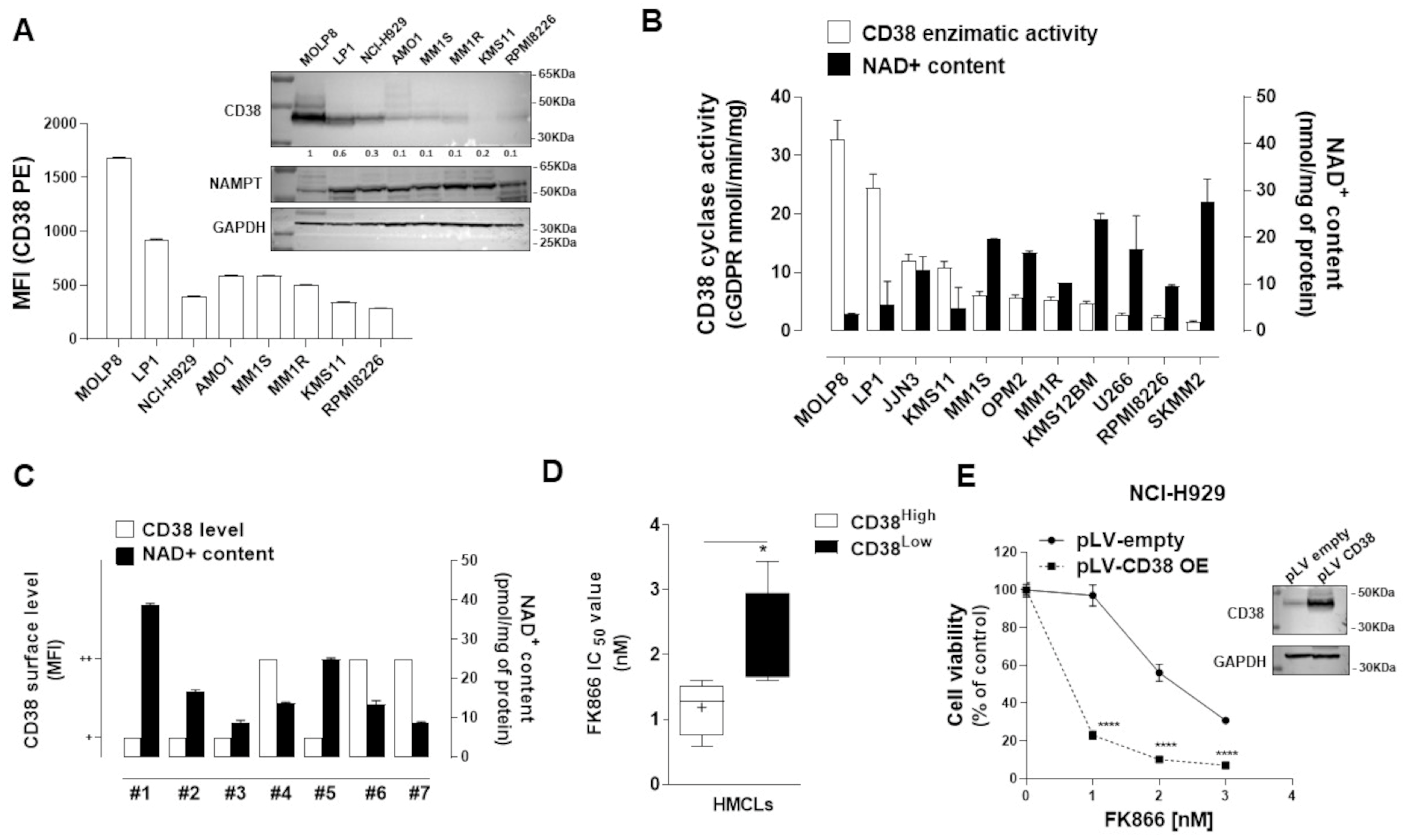 Antioxidants 12 00494 g001 Antioxidants 12 00494 g001