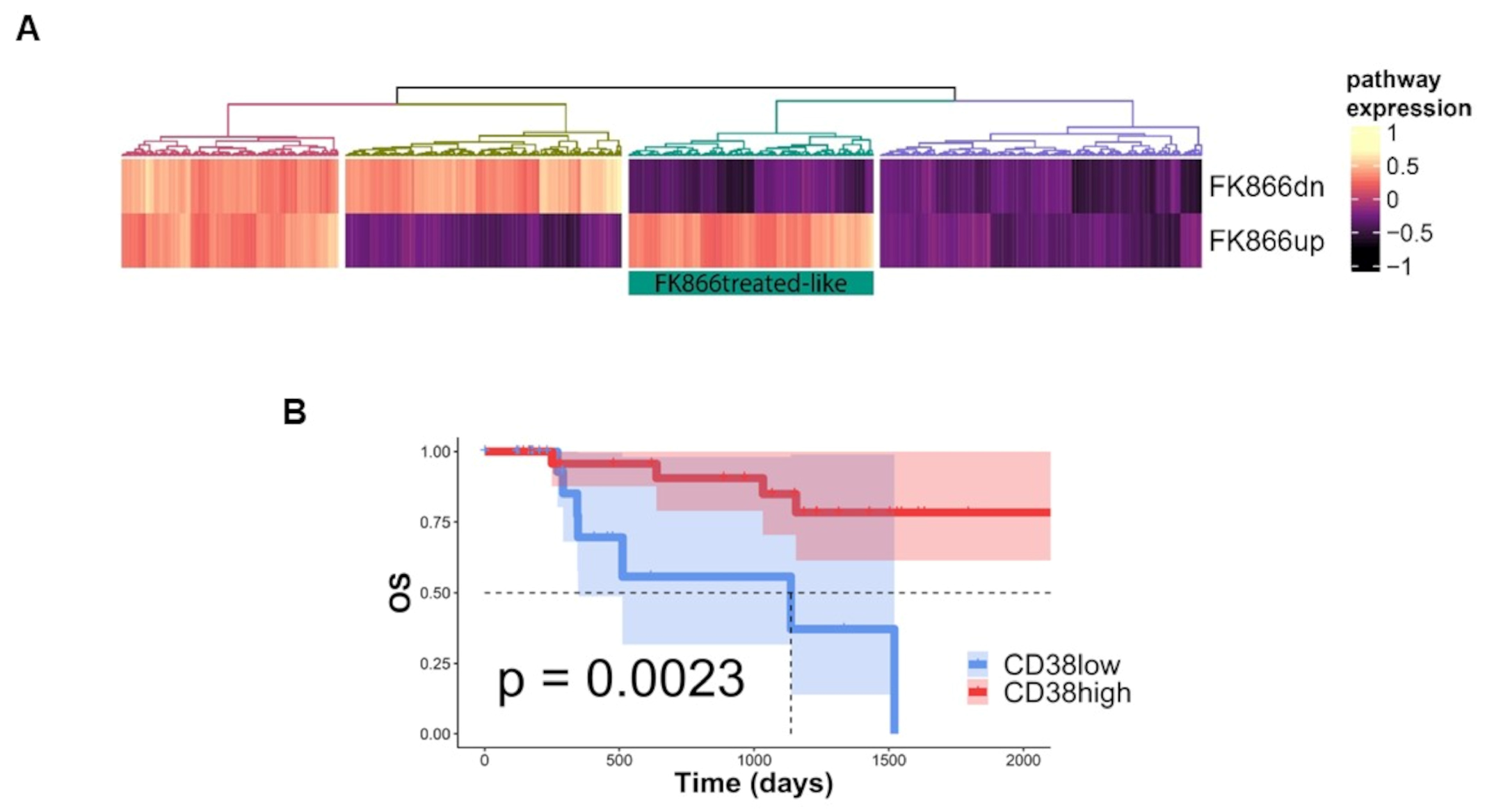 Antioxidants 12 00494 g003 Antioxidants 12 00494 g003