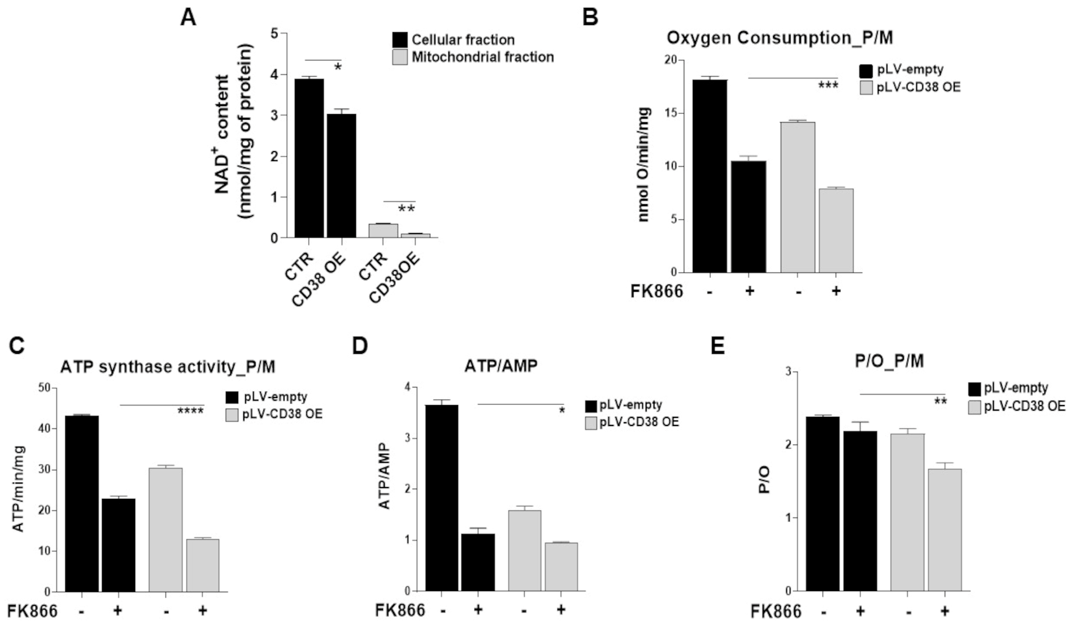Antioxidants 12 00494 g006 Antioxidants 12 00494 g006