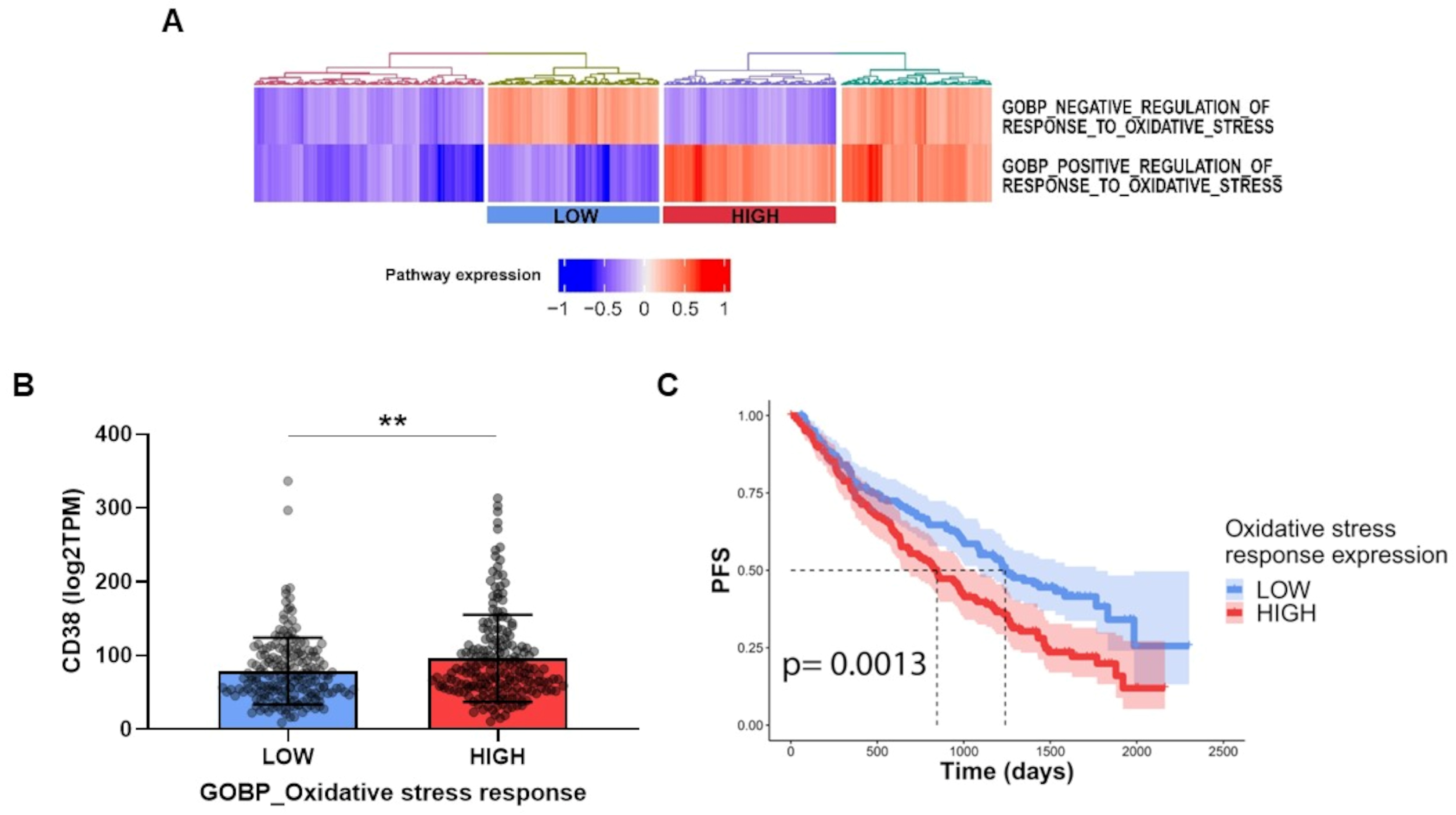Antioxidants 12 00494 g009 Antioxidants 12 00494 g009