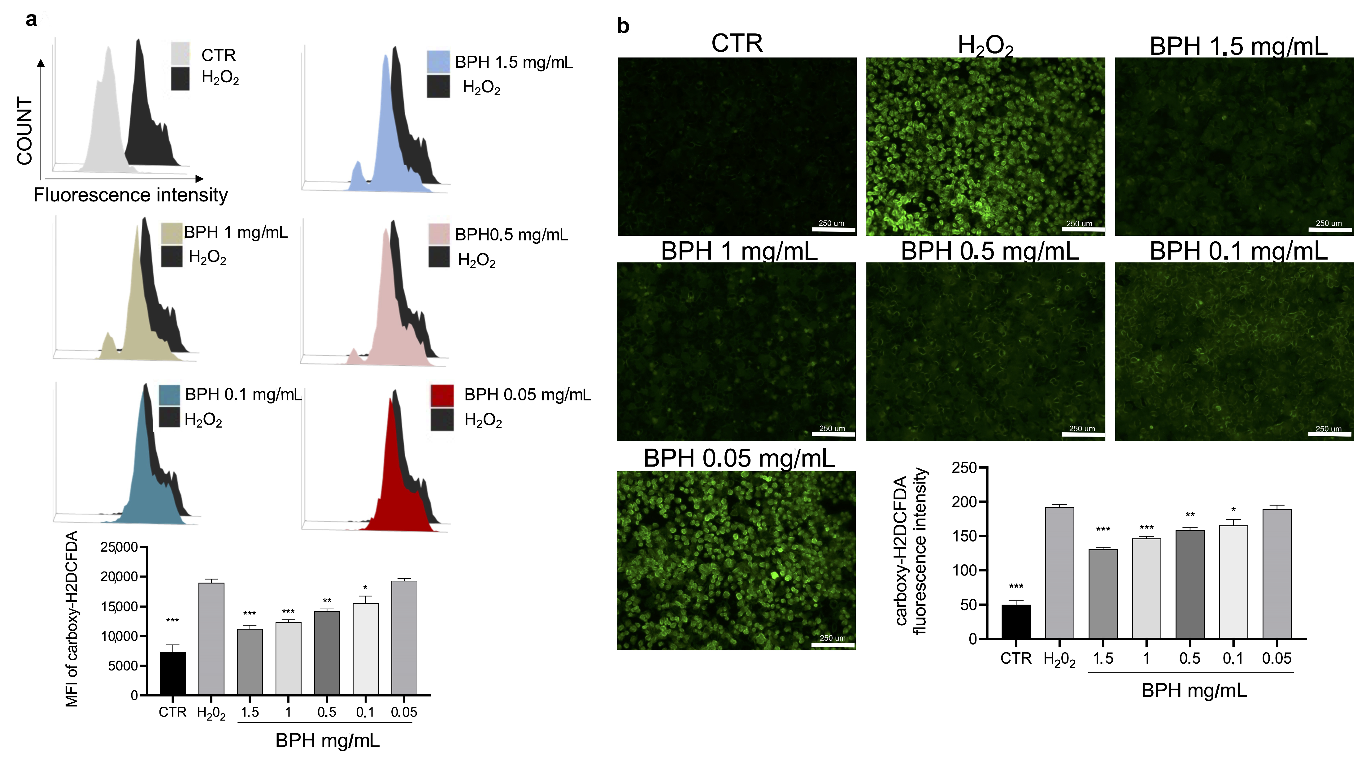 Antioxidants 12 00519 g003
