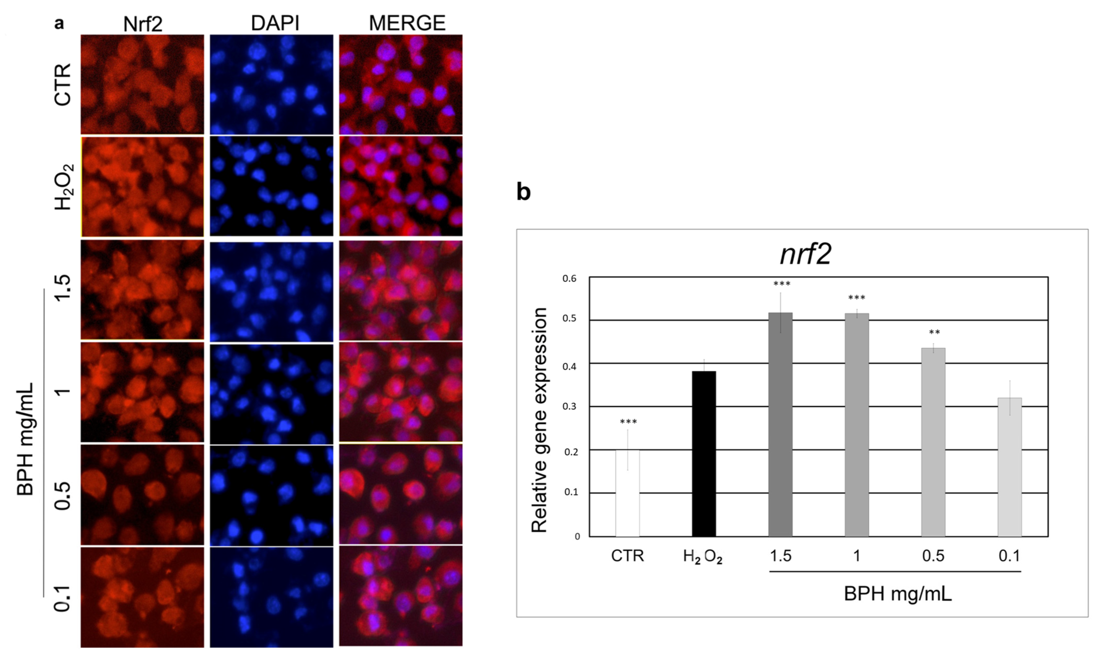 Antioxidants 12 00519 g004