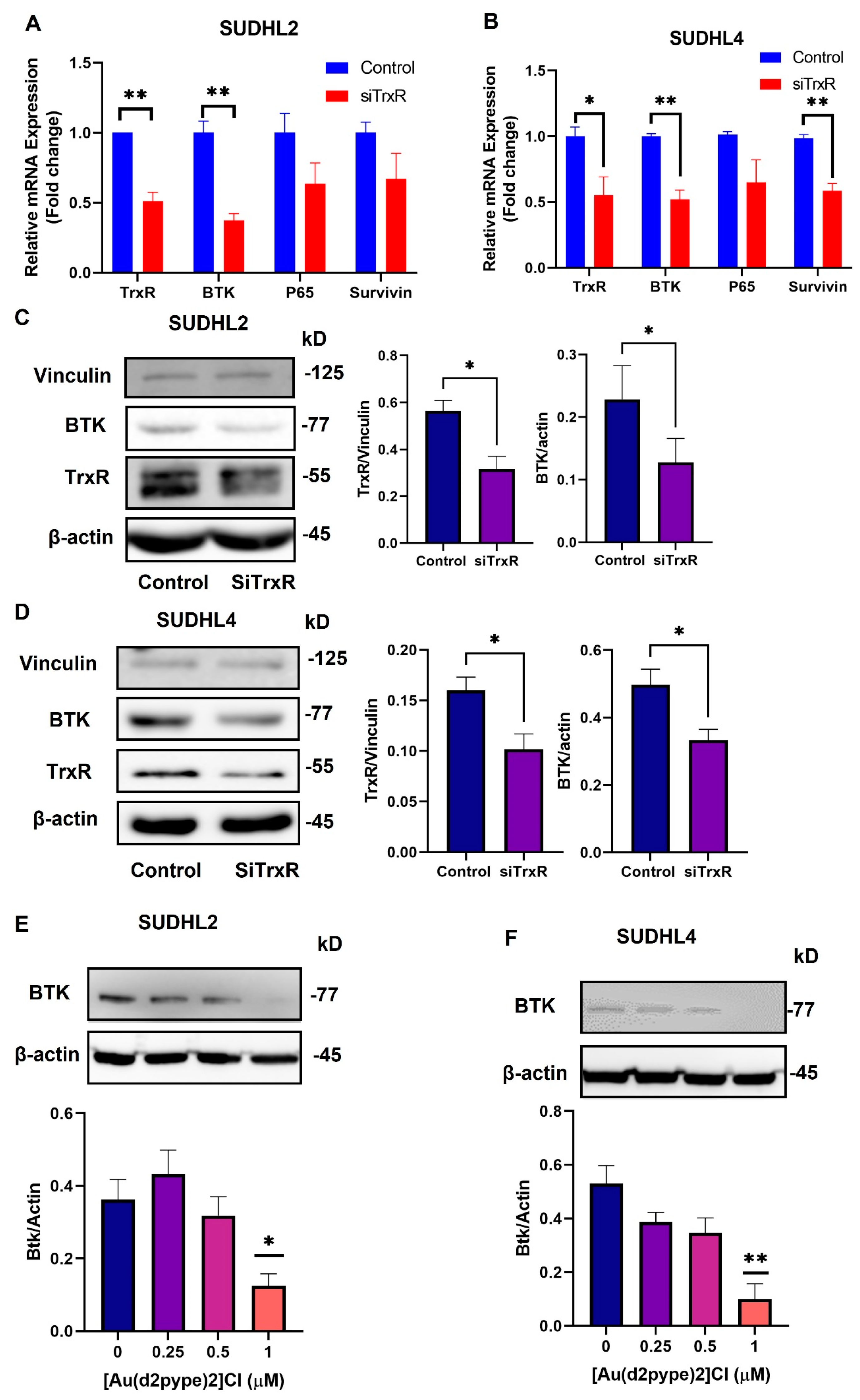 Antioxidants 12 00529 g003