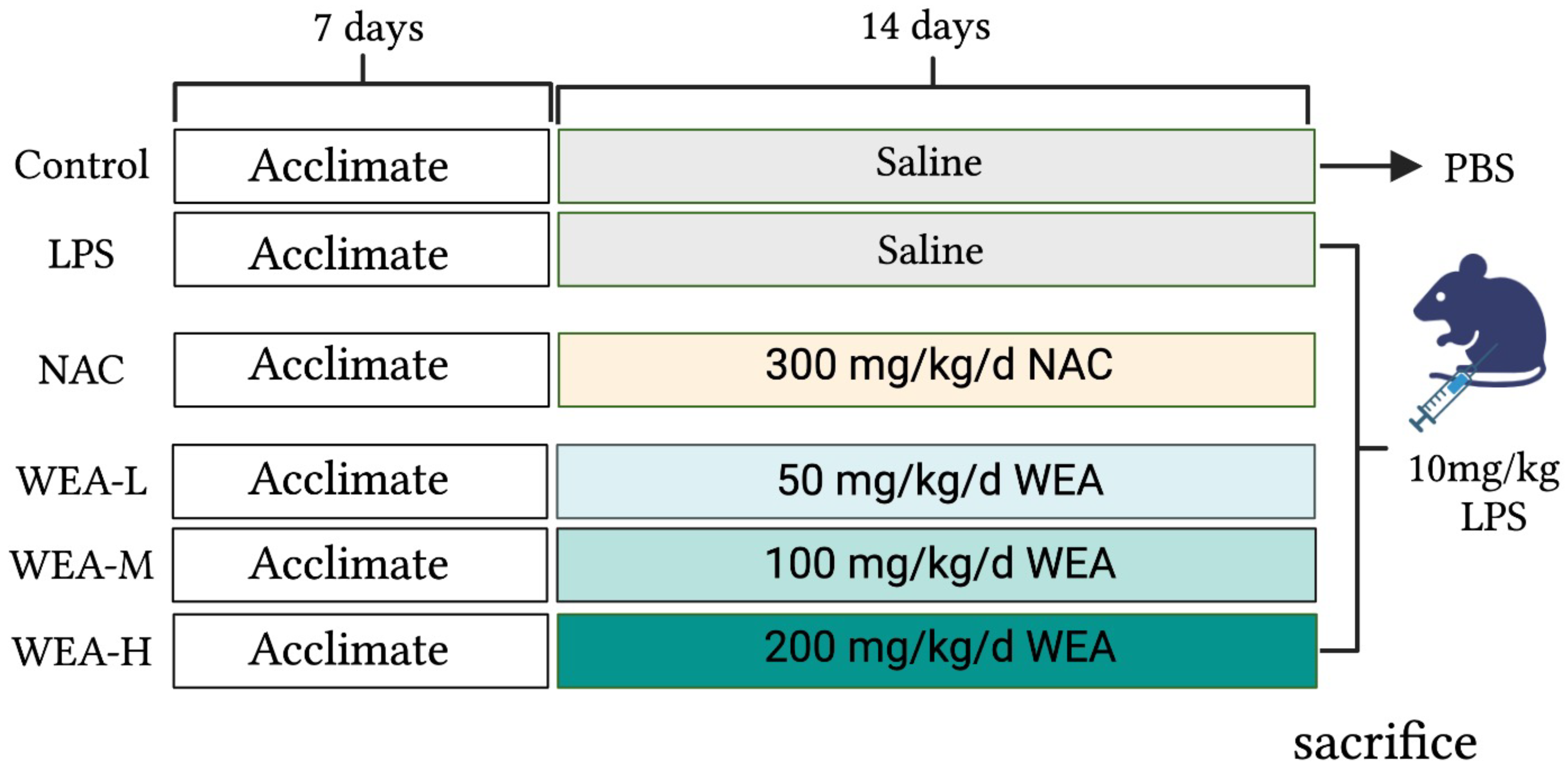 Antioxidants 12 00547 g001 Antioxidants 12 00547 g001