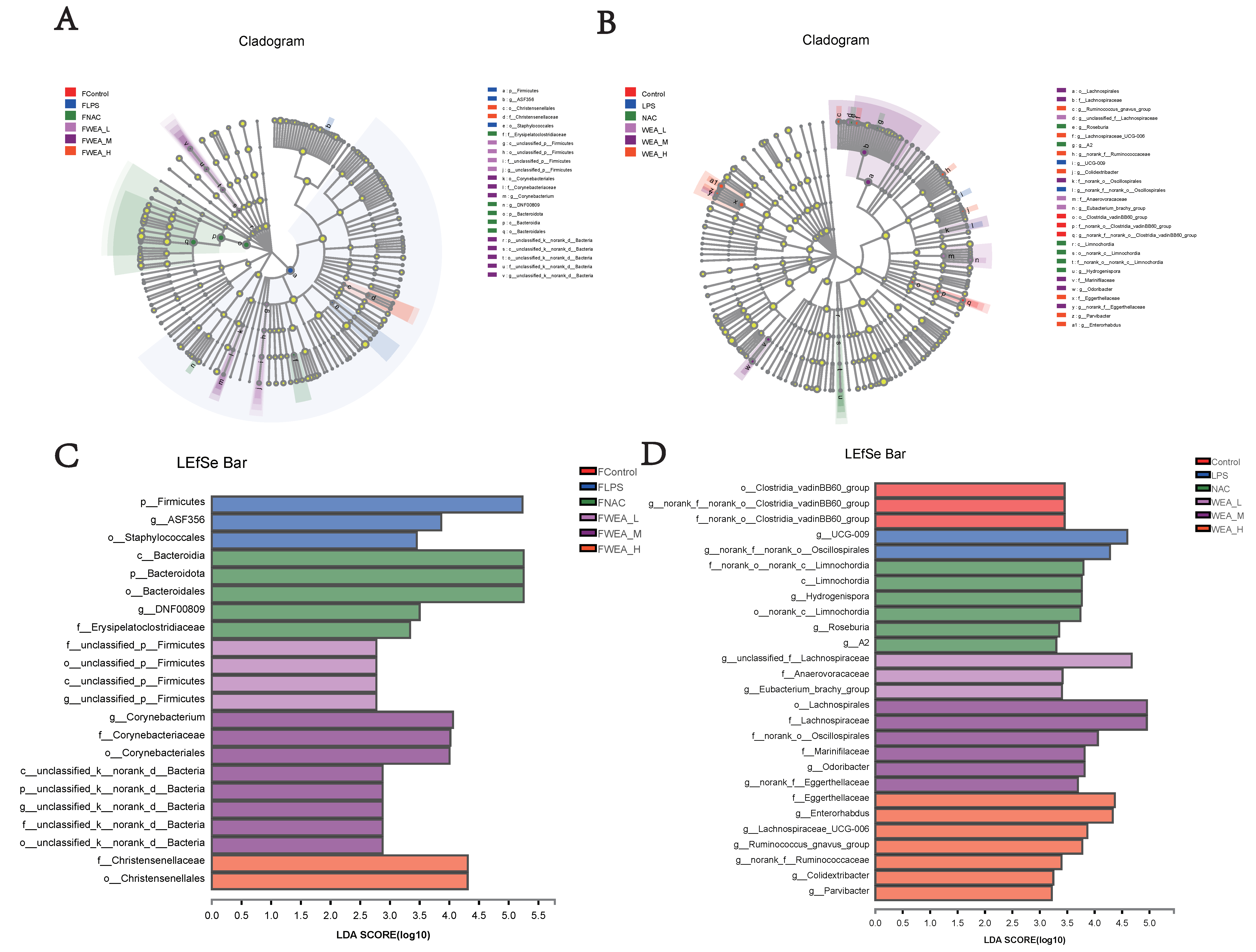 Antioxidants 12 00547 g009 Antioxidants 12 00547 g009