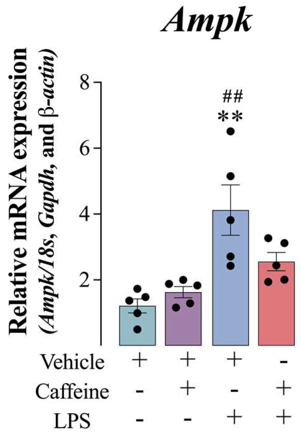 Antioxidants 12 00554 g005 Antioxidants 12 00554 g005