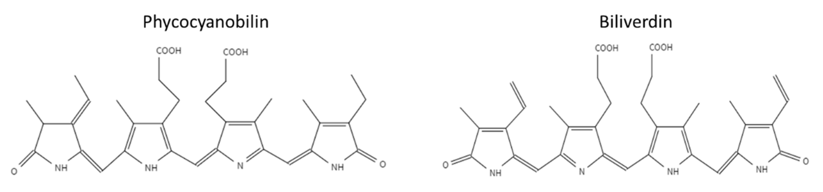 Antioxidants 12 00568 g001