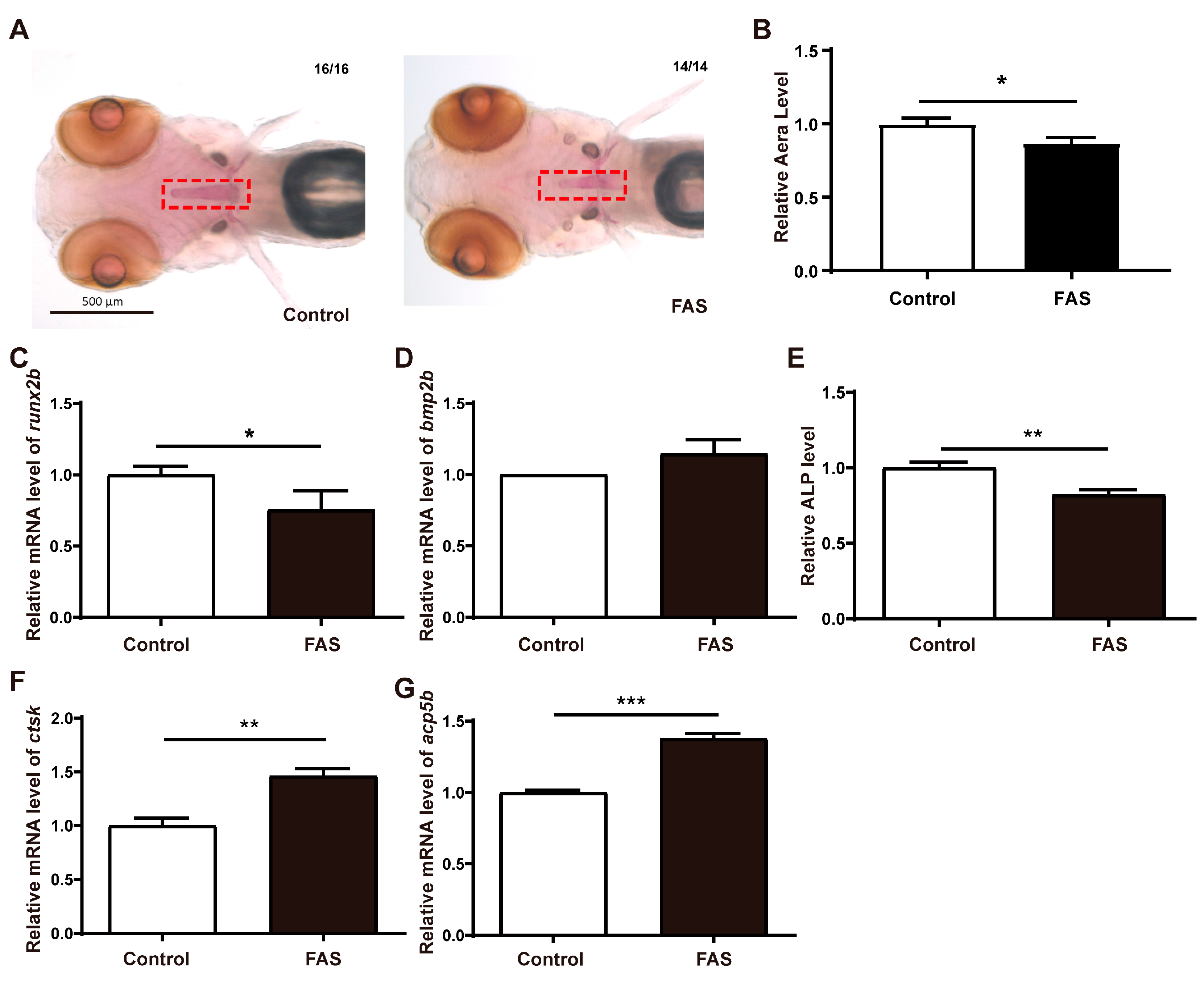 Antioxidants 12 00583 g001