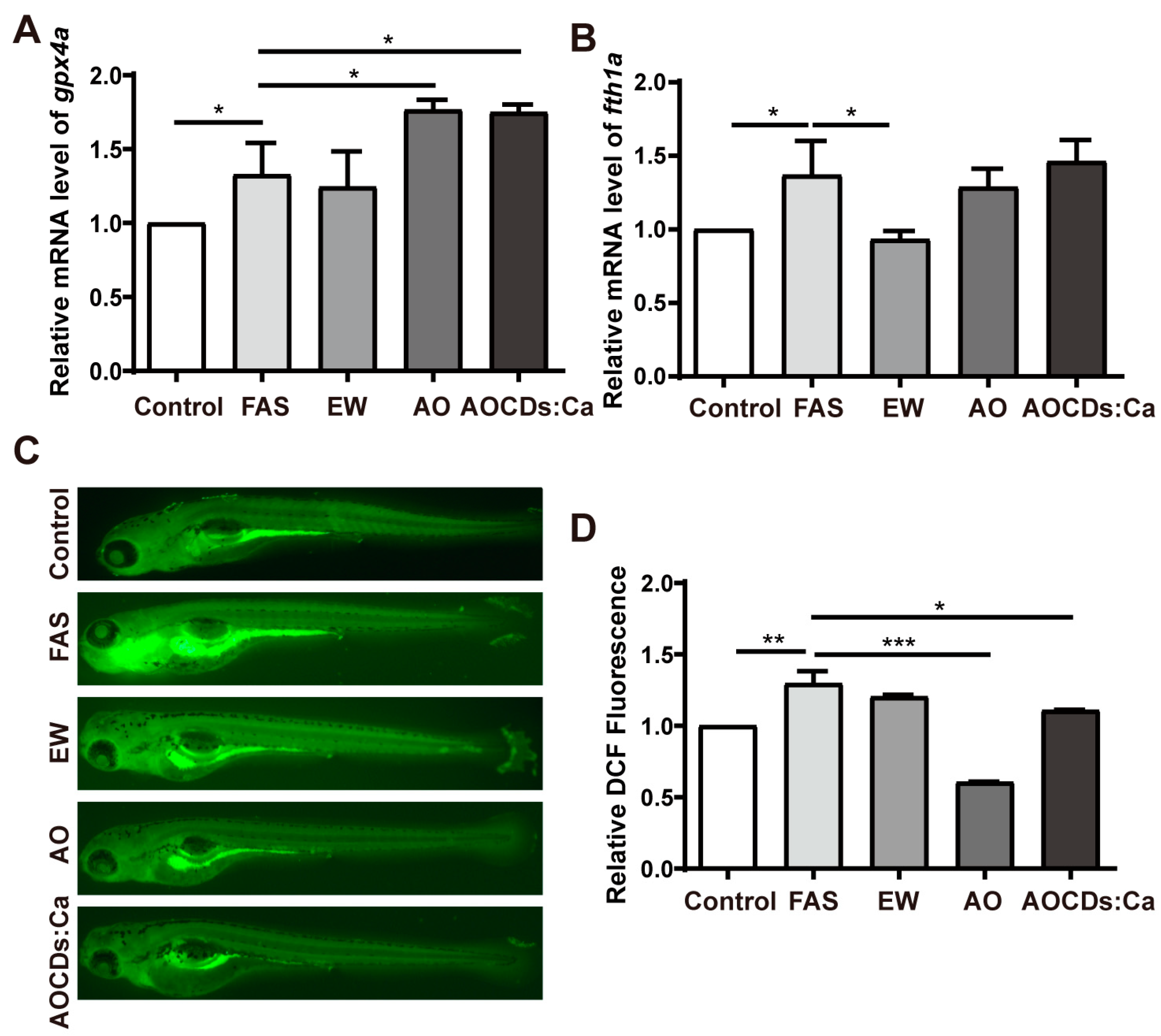 Antioxidants 12 00583 g004