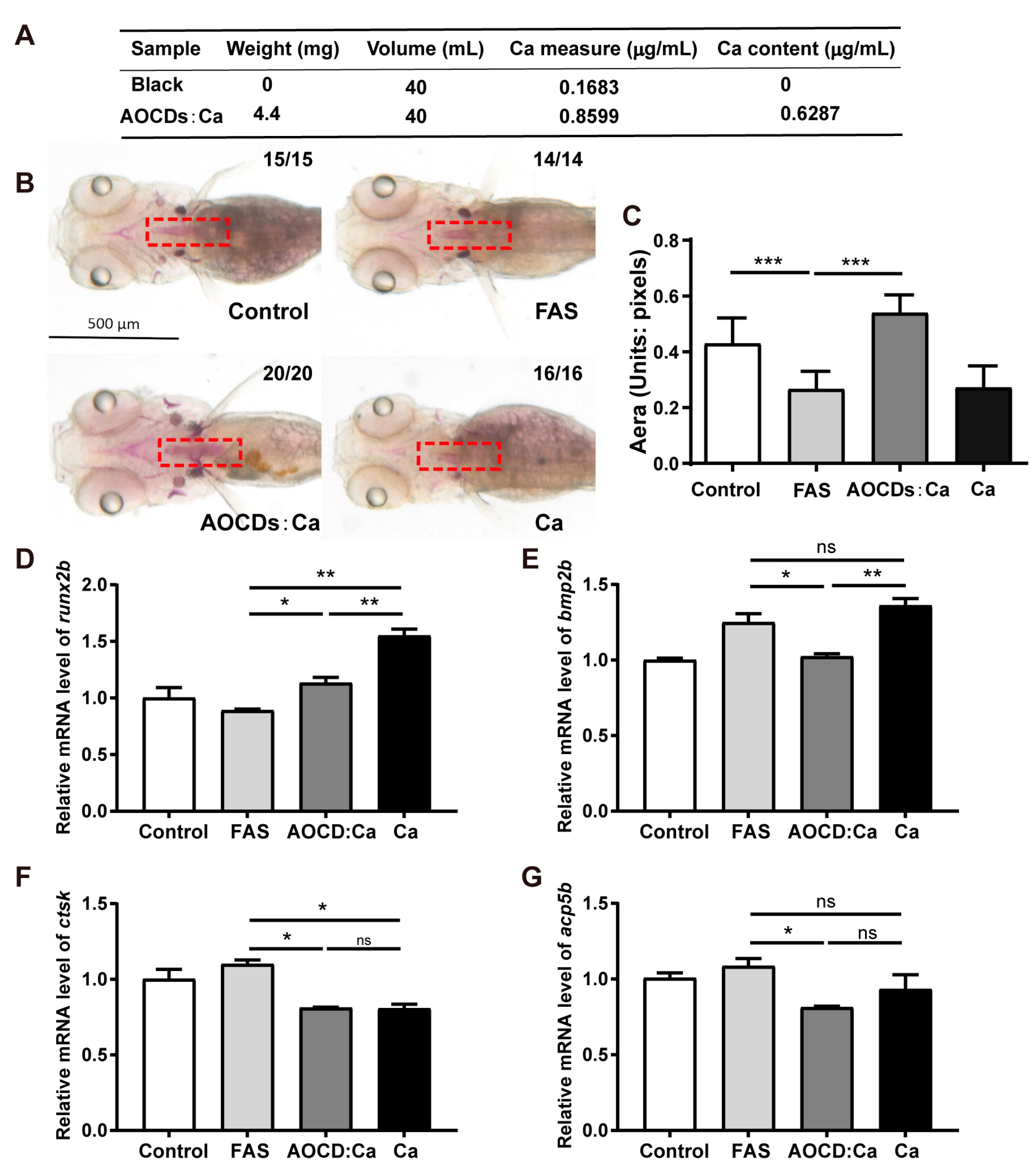 Antioxidants 12 00583 g006