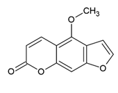 Antioxidants 12 00586 i001 Antioxidants 12 00586 i001