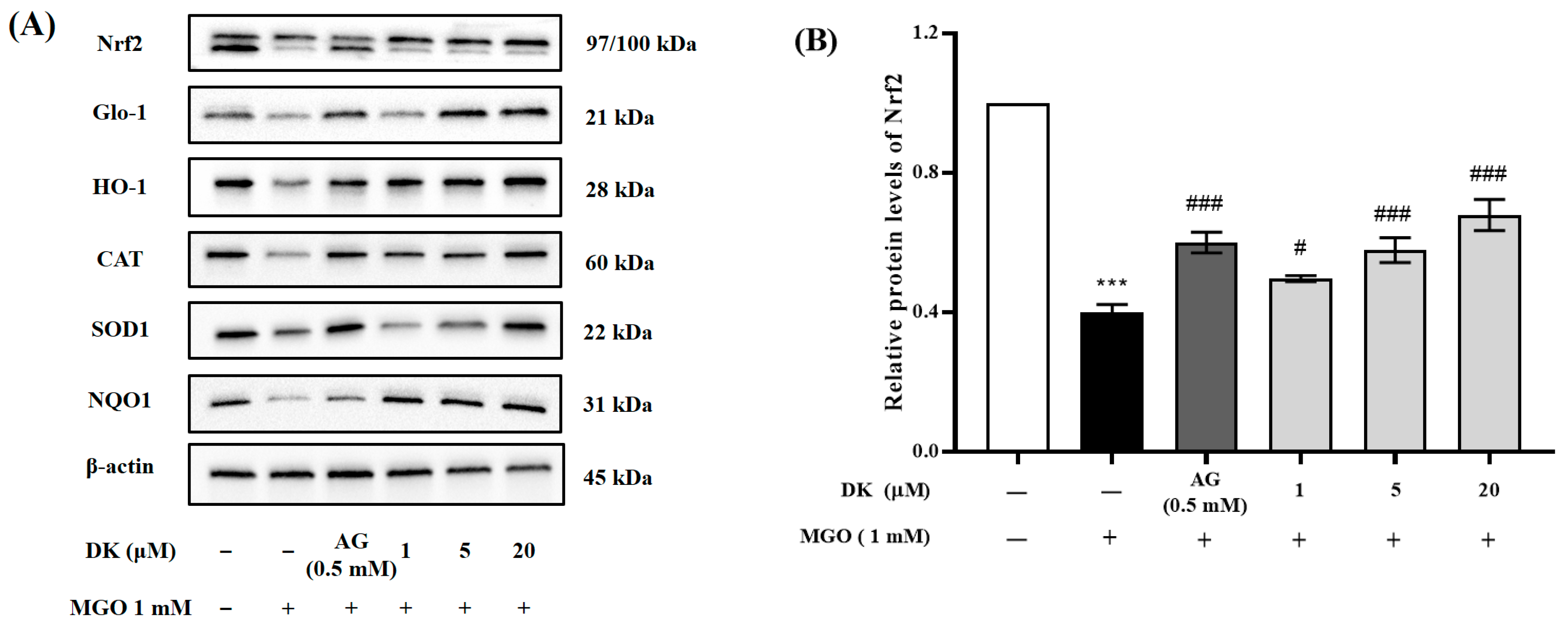 Antioxidants | Free Full-Text | Dieckol, Derived from the Edible Brown ...