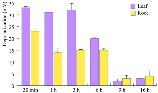 Antioxidants | Free Full-Text | Bacterial Volatiles (mVOC) Emitted By ...