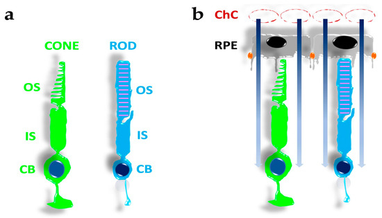 How it Works: Shedding some Light on UV Markers