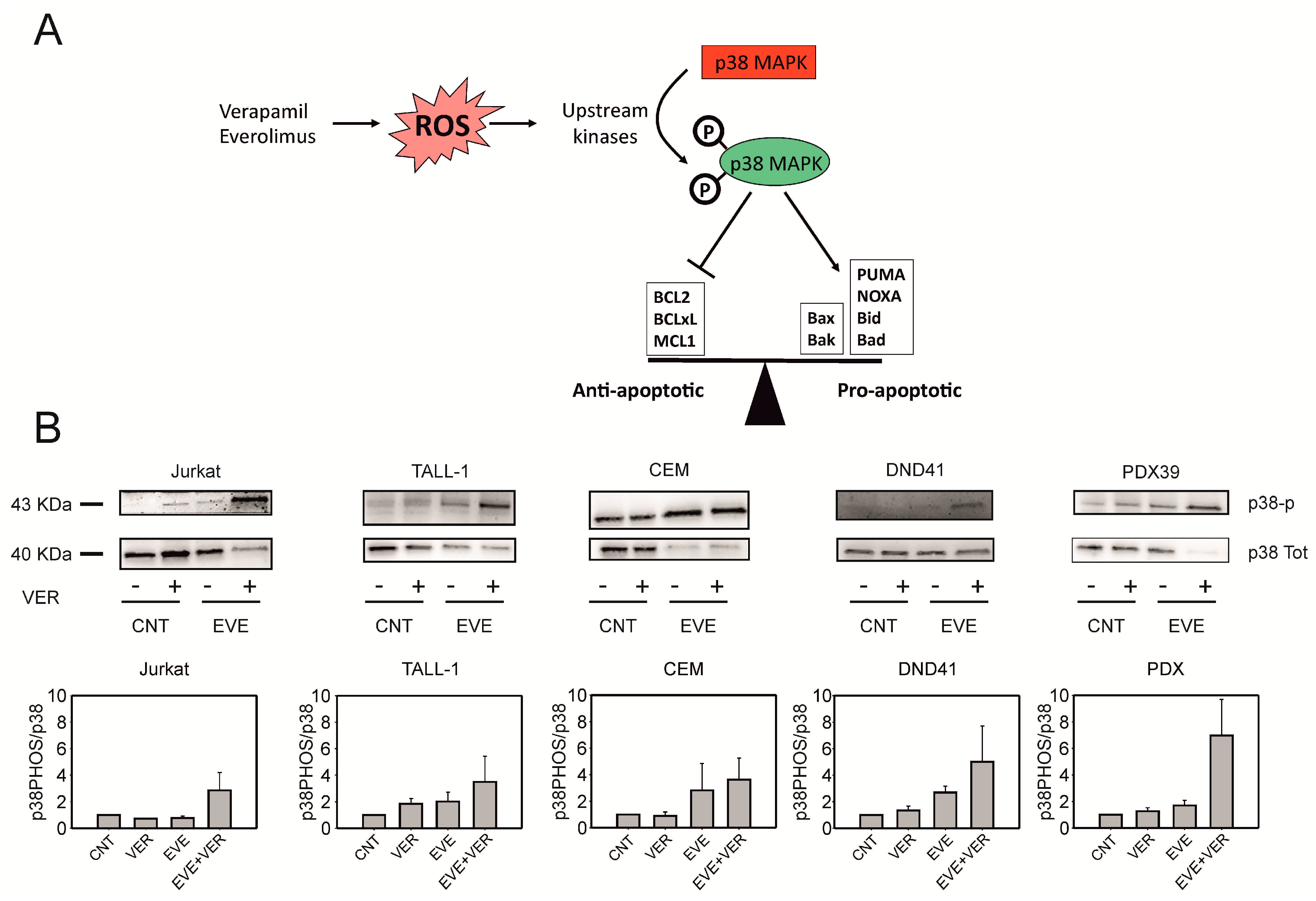 Antioxidants 12 00625 g005