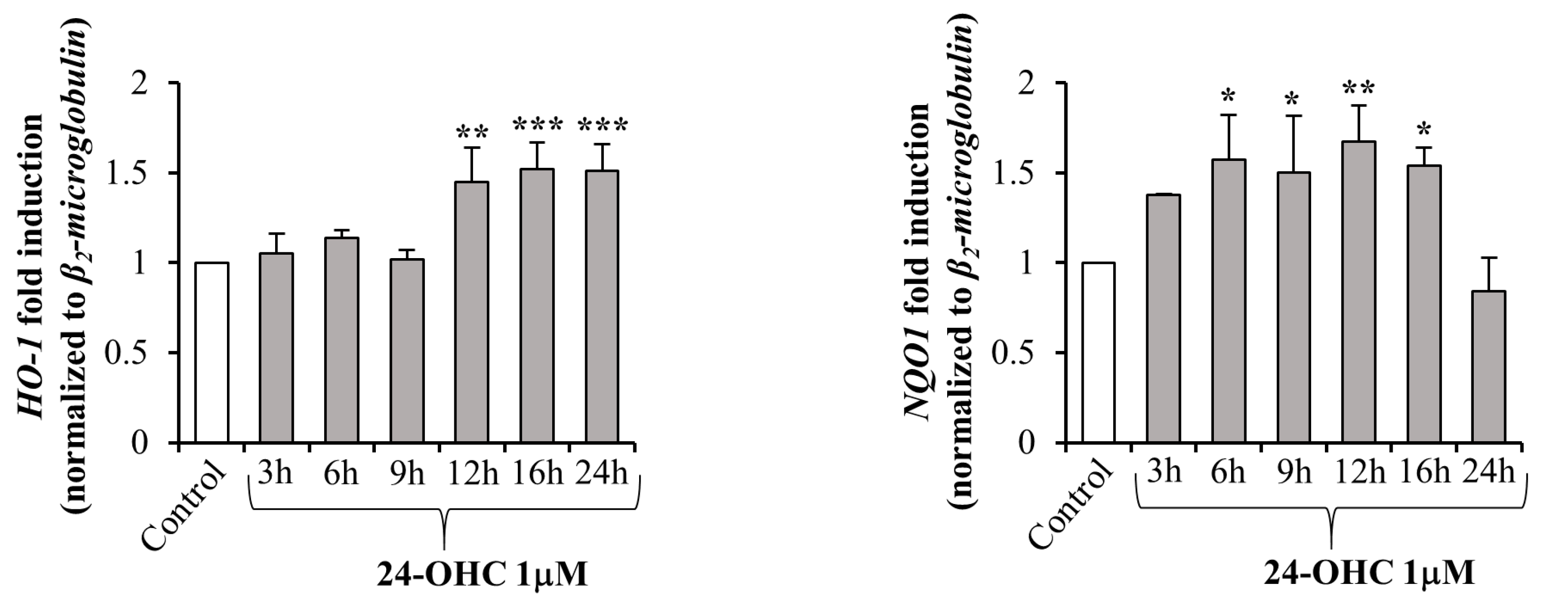 Antioxidants 12 00631 g004