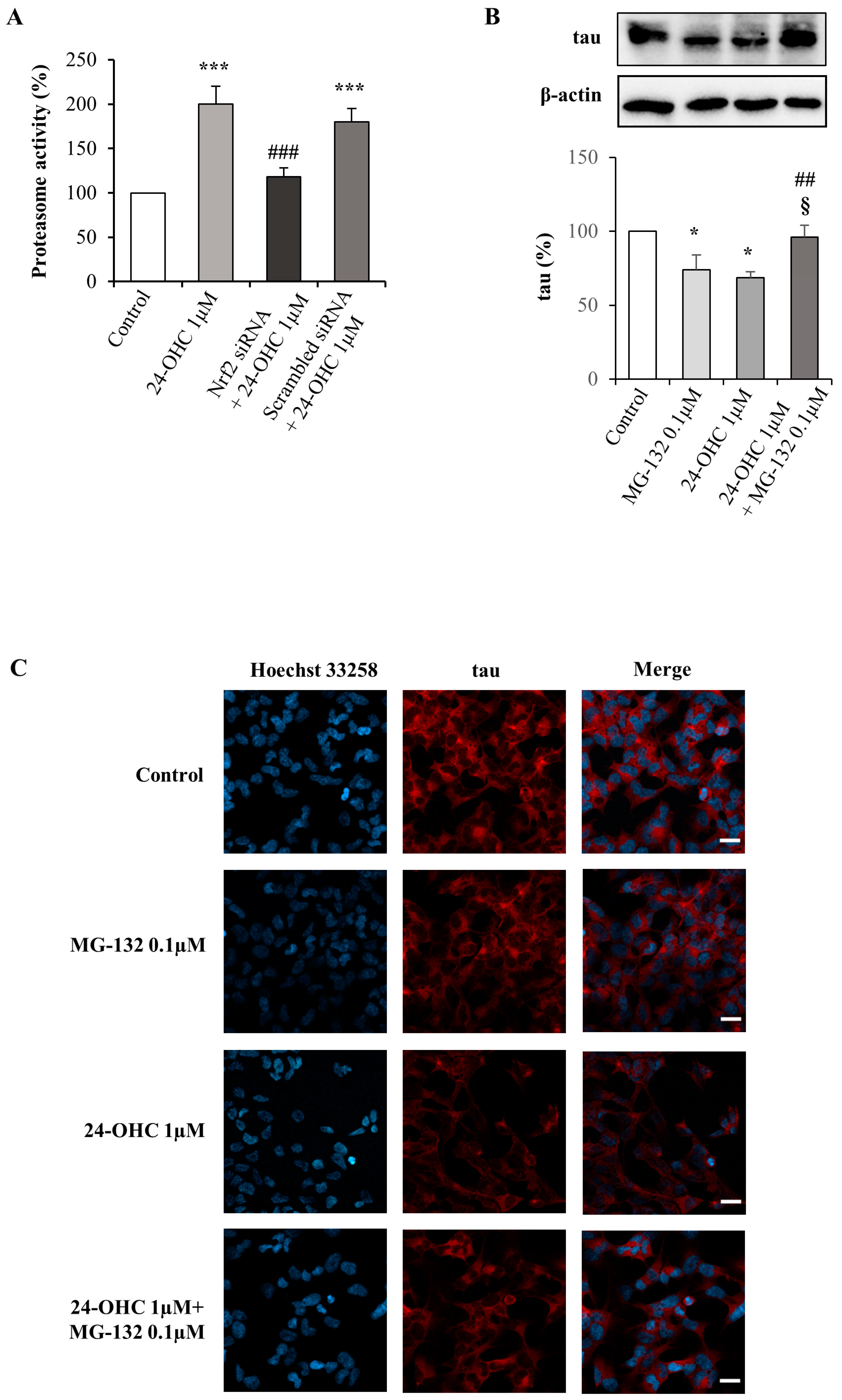 Antioxidants 12 00631 g006
