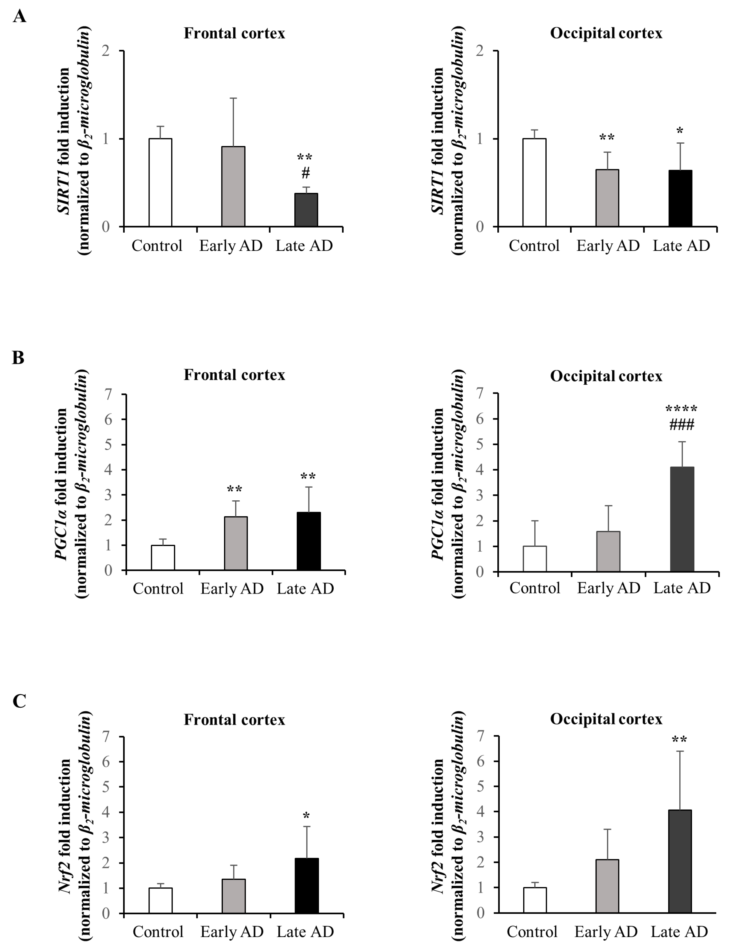 Antioxidants 12 00631 g007