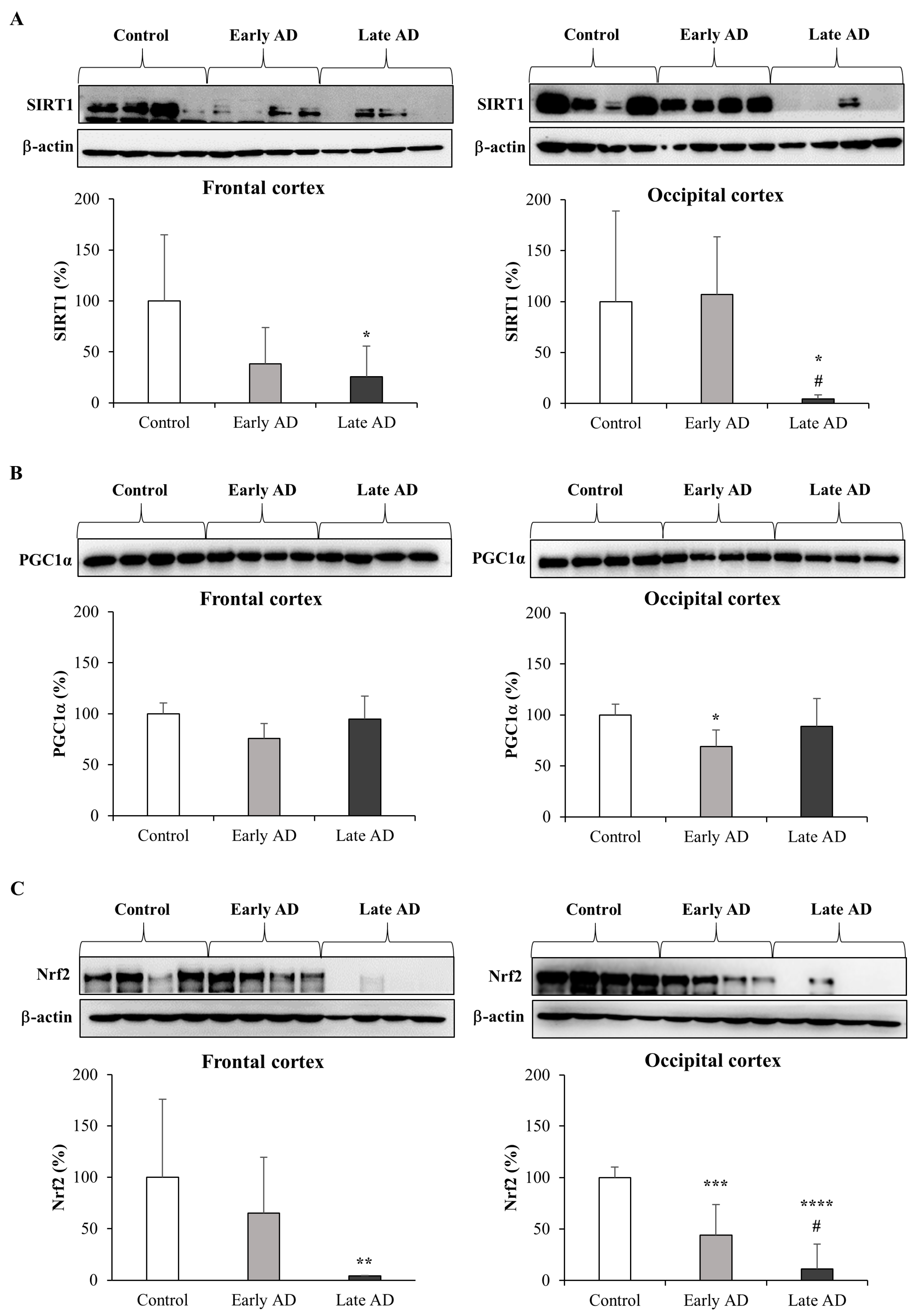 Antioxidants 12 00631 g008