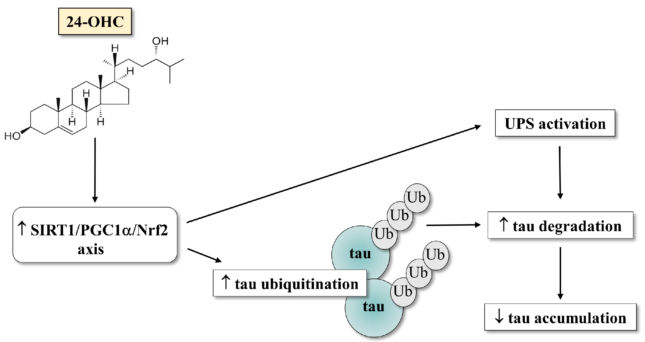 Antioxidants 12 00631 g009