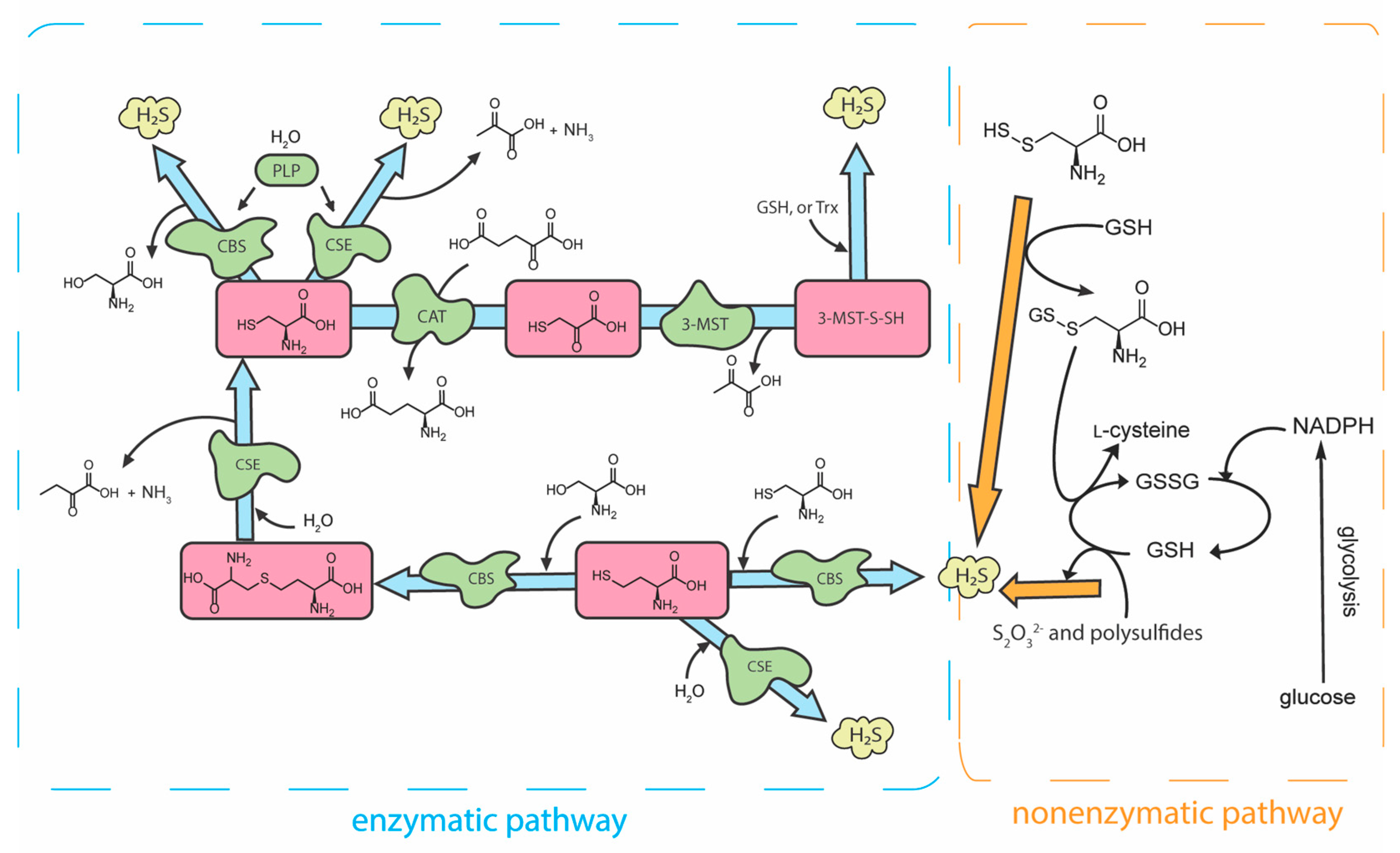 Antioxidants 12 00650 g001