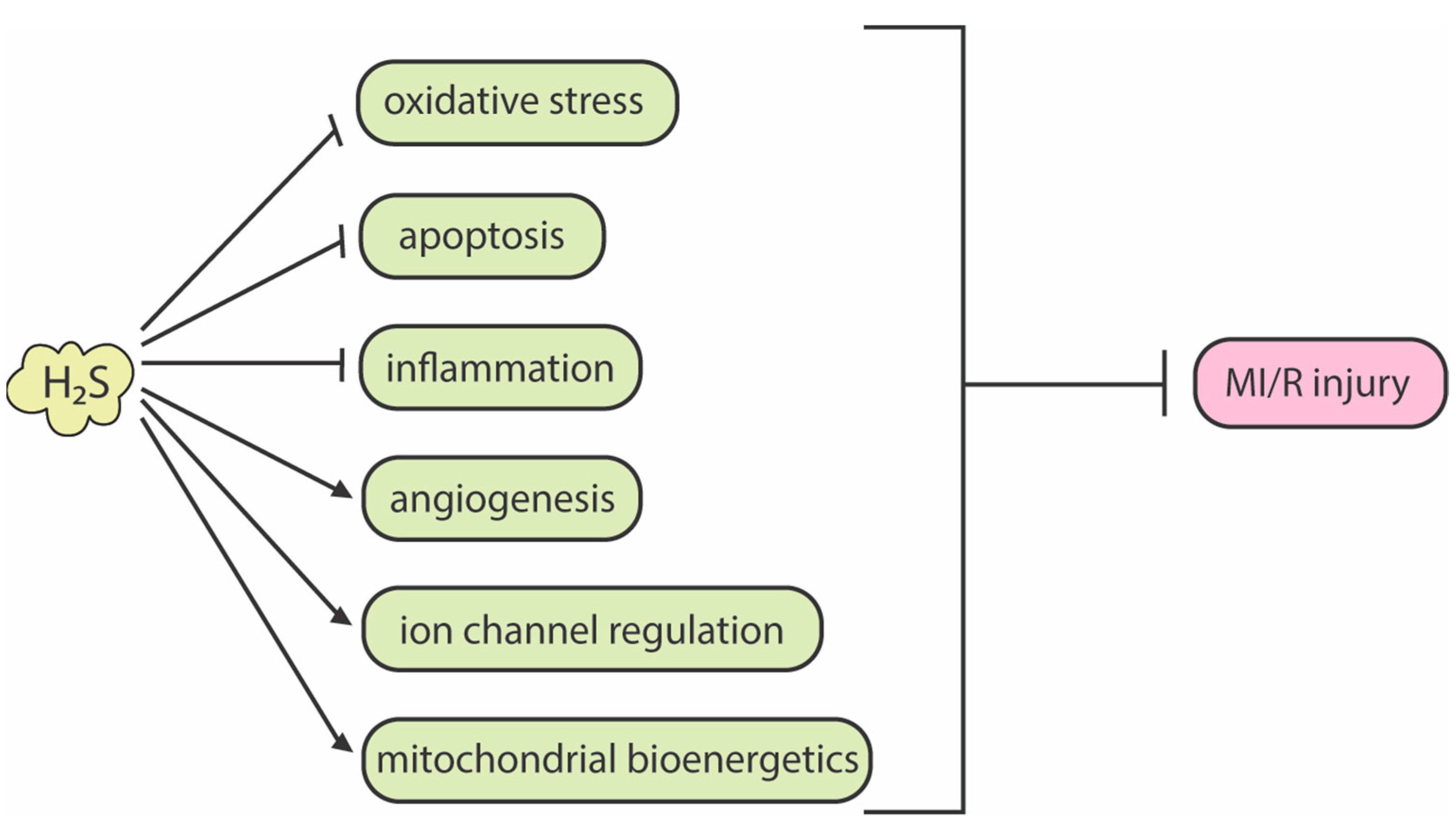 Antioxidants 12 00650 g002