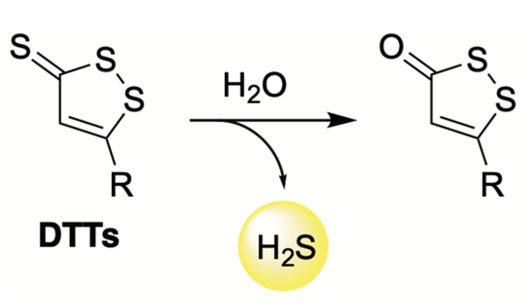 Antioxidants 12 00650 g004