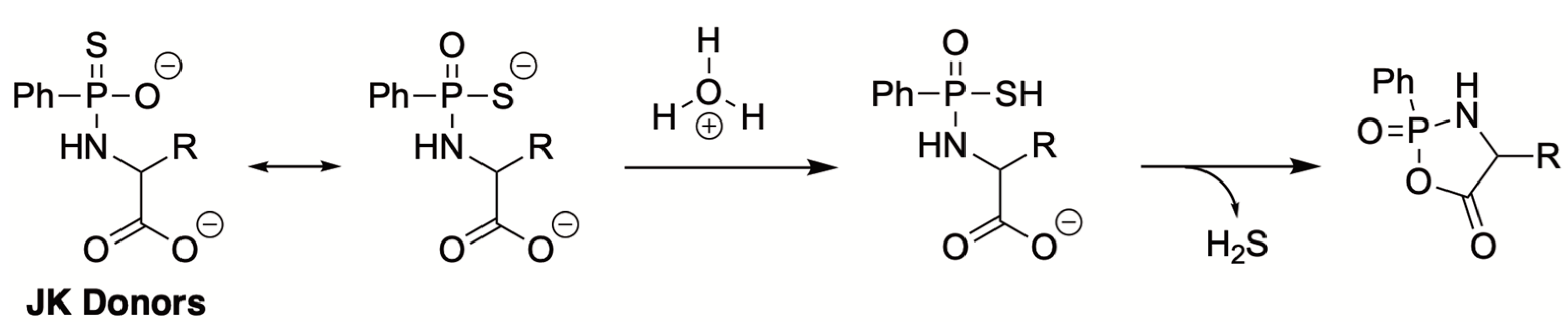 Antioxidants 12 00650 g006
