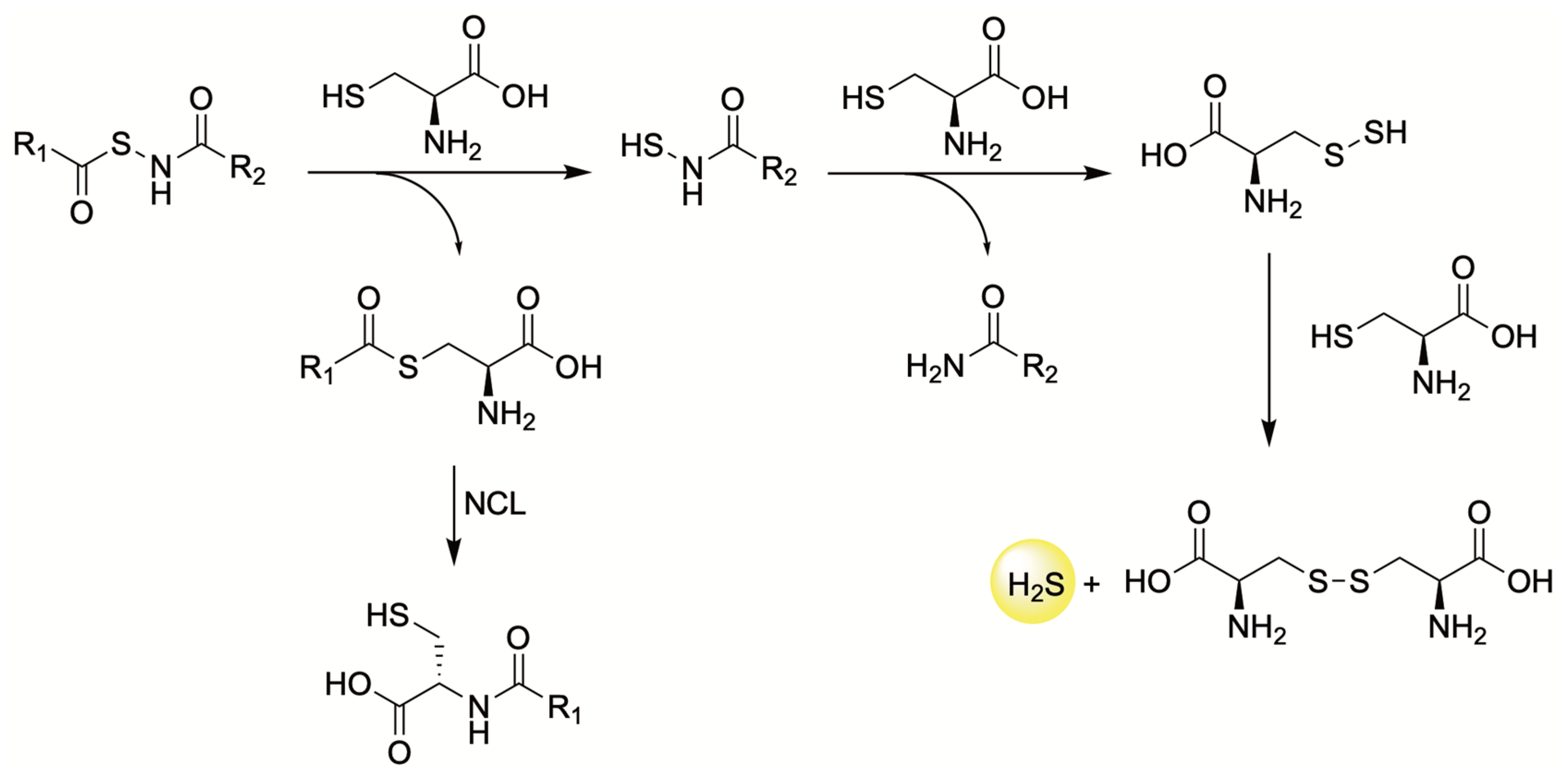 Antioxidants 12 00650 g009