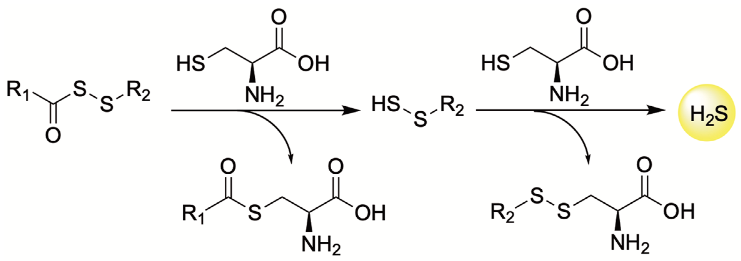 Antioxidants 12 00650 g010