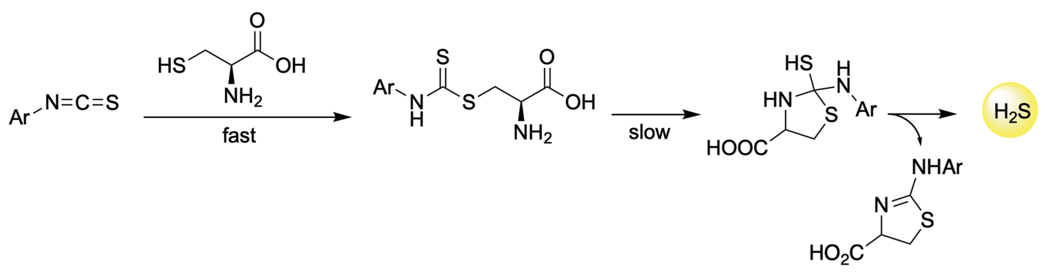 Antioxidants 12 00650 g013