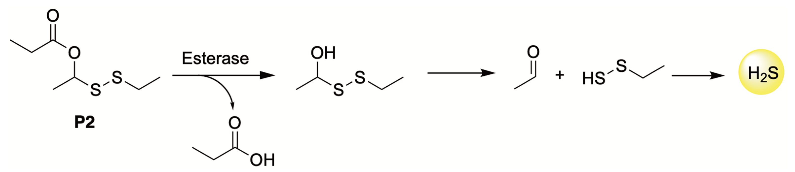 Antioxidants 12 00650 g014