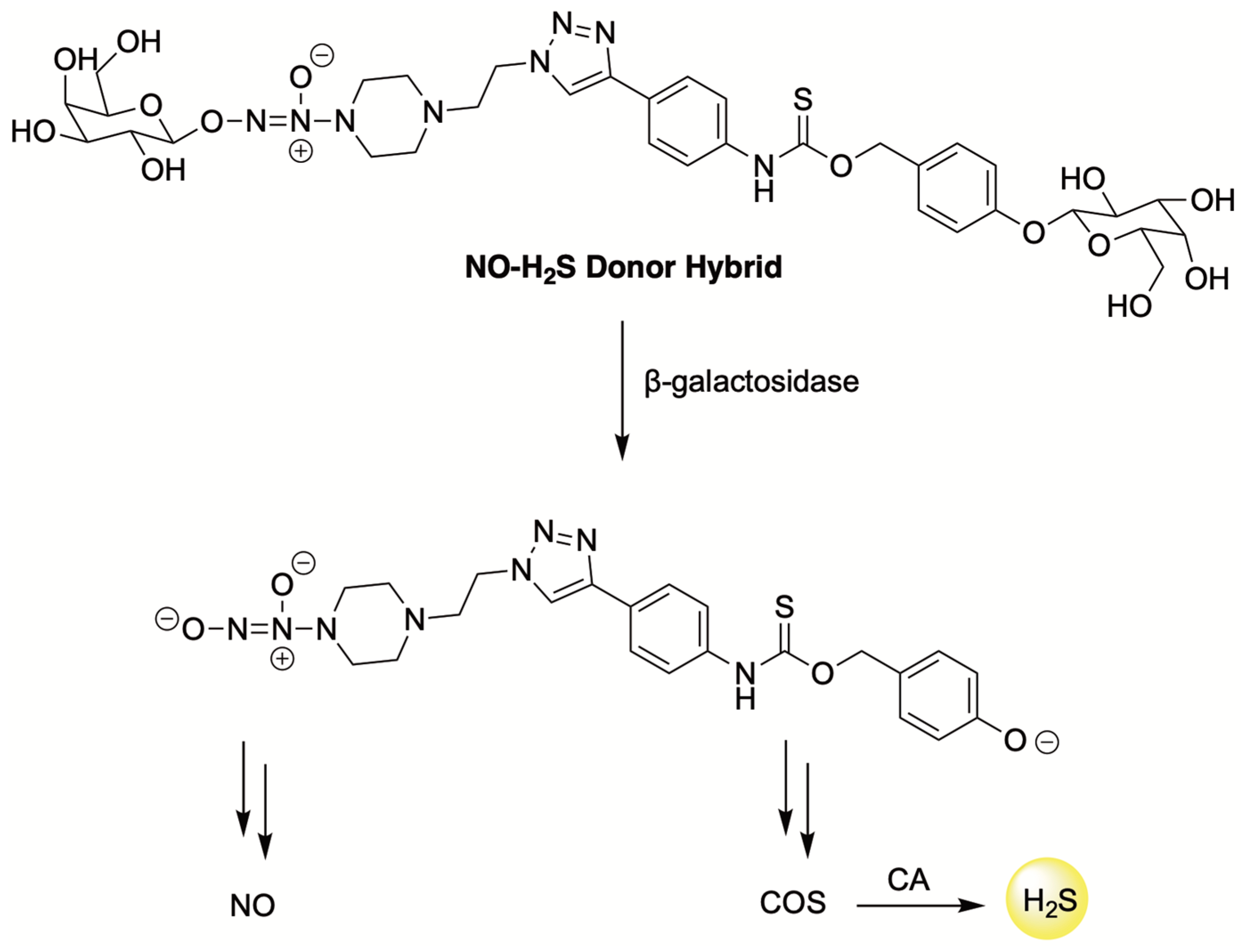 Antioxidants 12 00650 g015